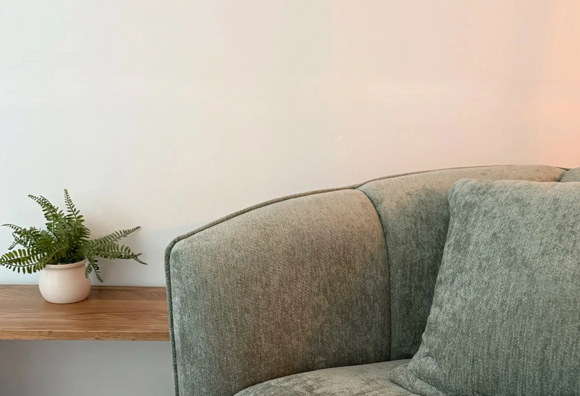 Comfortable sofa and plant in a calm therapy office setting