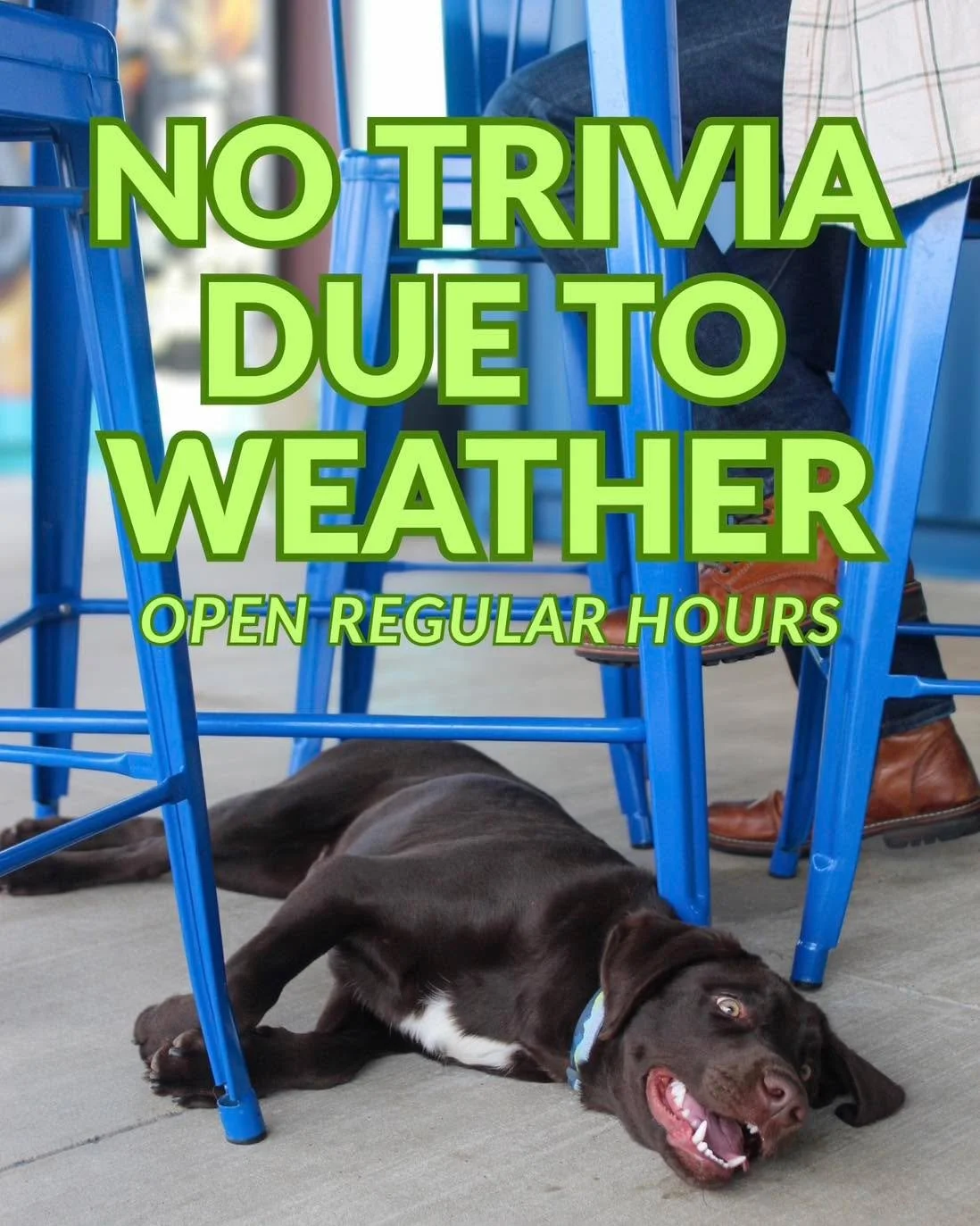 See ya next week for St. Paddy&rsquo;s Day trivia! 🍀🐶