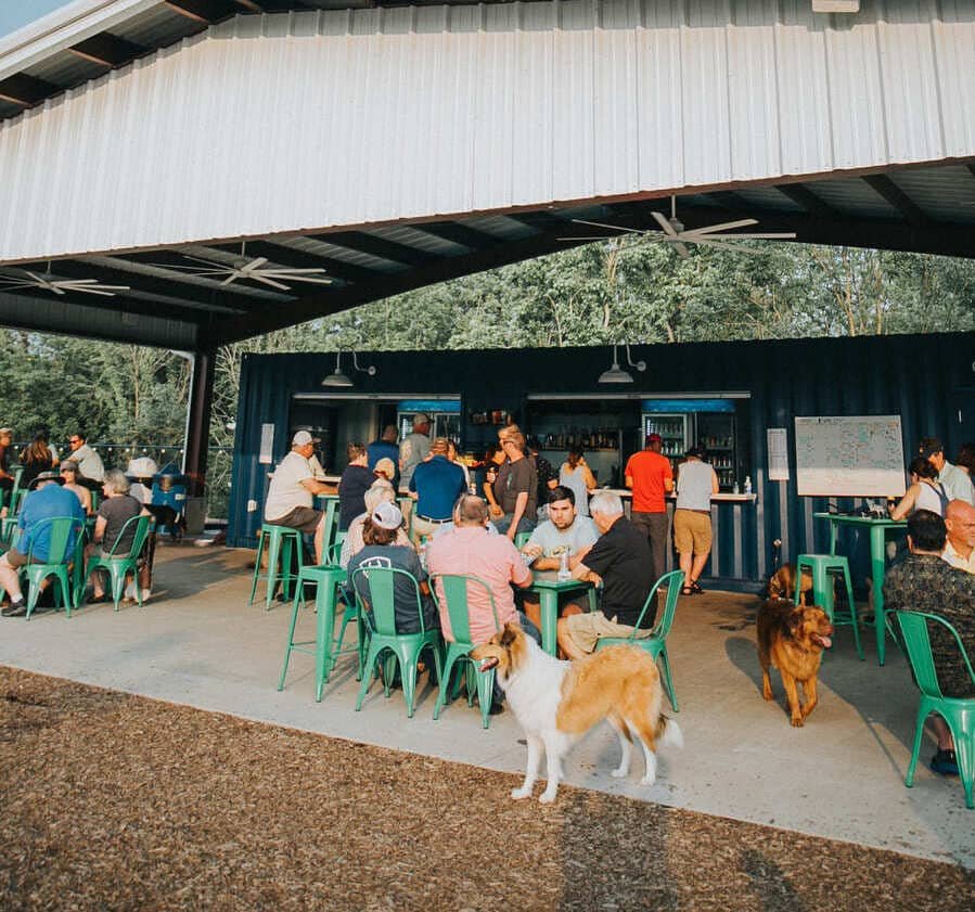 People dining at an outdoor restaurant with a bar, some dogs sitting on the ground, and a whiteboard in the background.