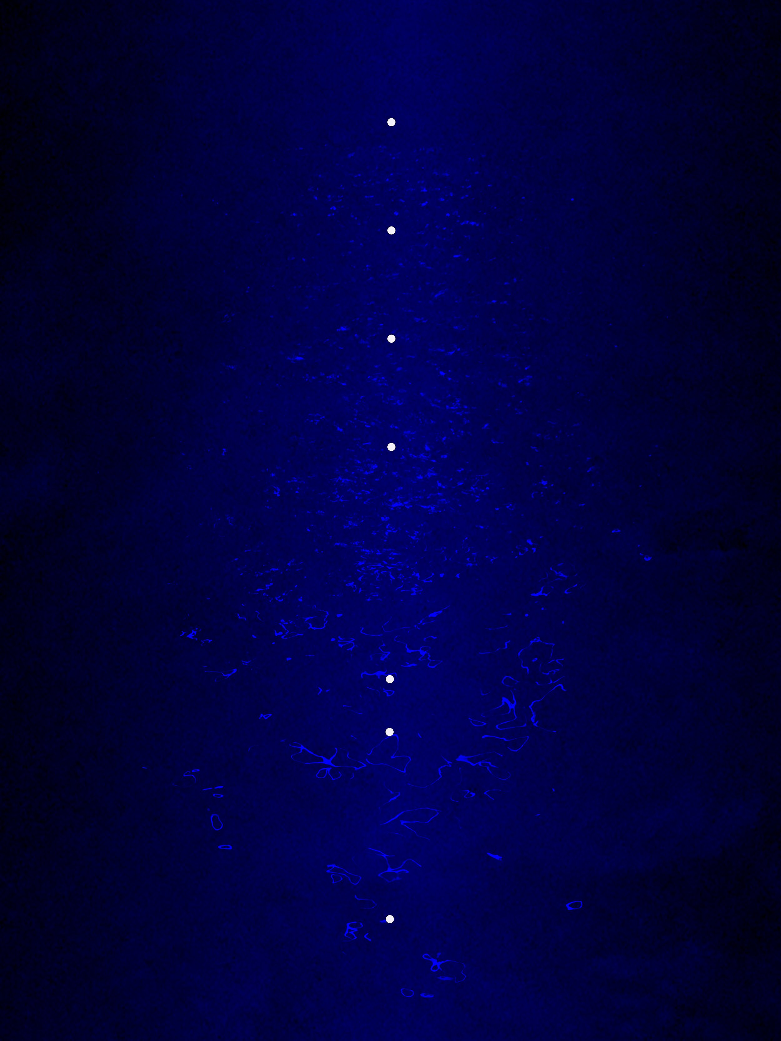 20260715.jpg