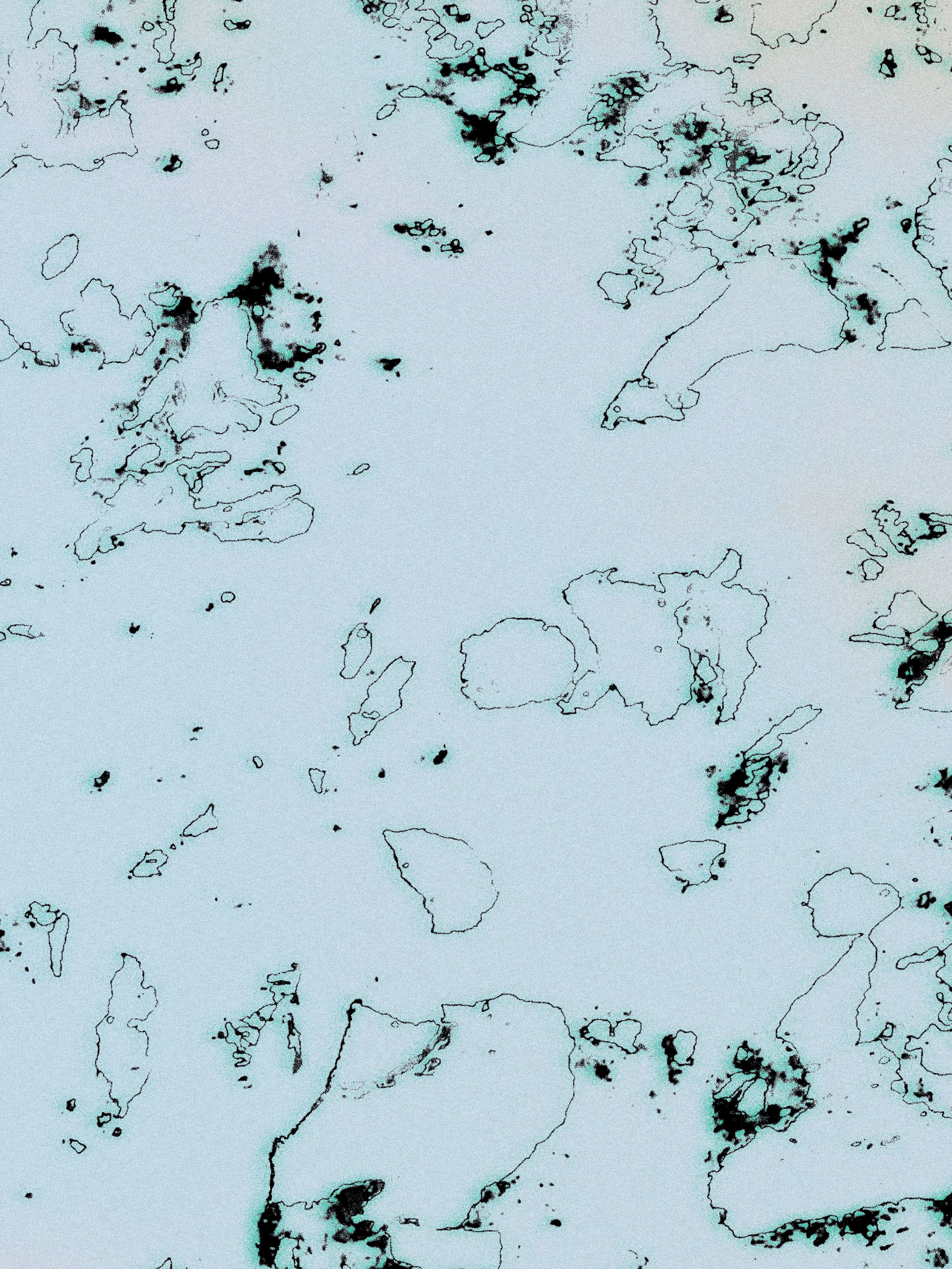 20260629.jpg