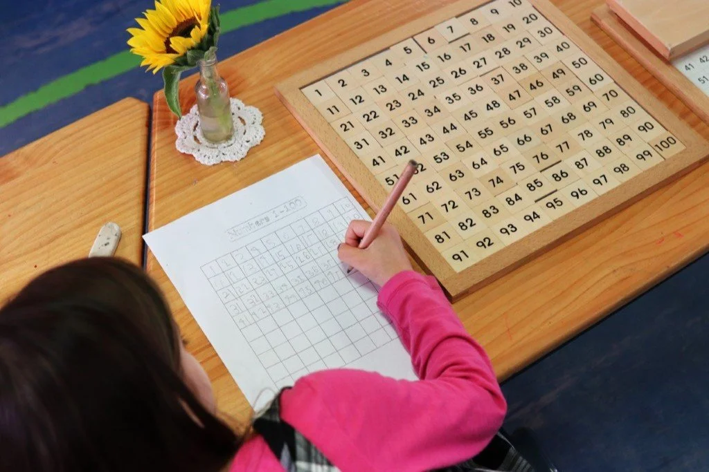 A Kindergarten student in a pink long-sleeve shirt working on a Montessori math worksheet with a pencil, a number chart on the table, a sunflower in a glass jar.