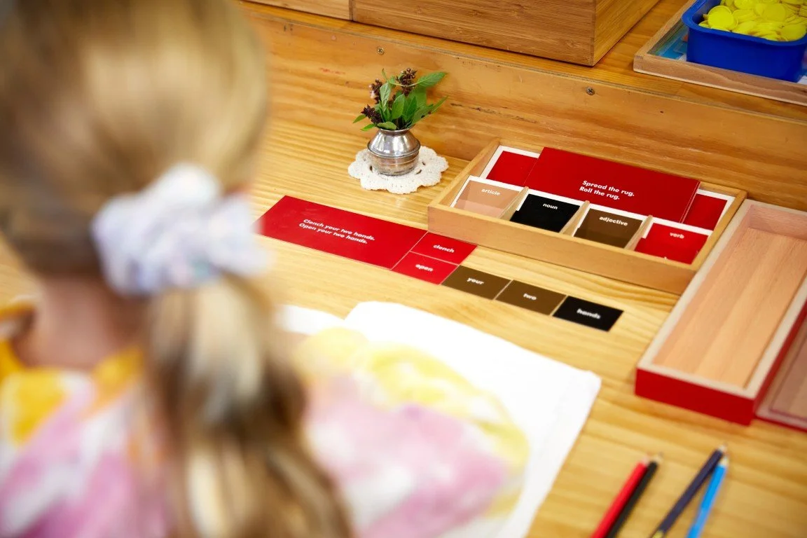 Educational language Montessori job with matching cards and word categories, on a wooden table, with a small plant decoration and colored pens nearby.