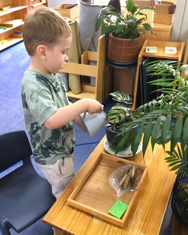 plant-care.JPG
