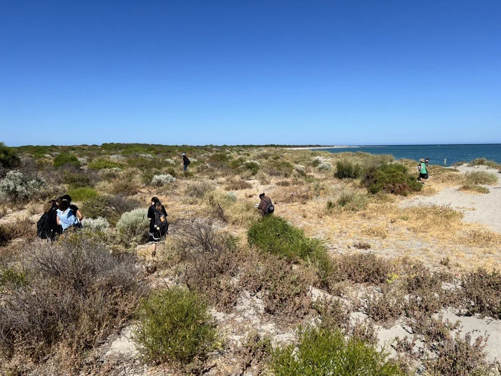 work-and-study-ecosystems.jpeg