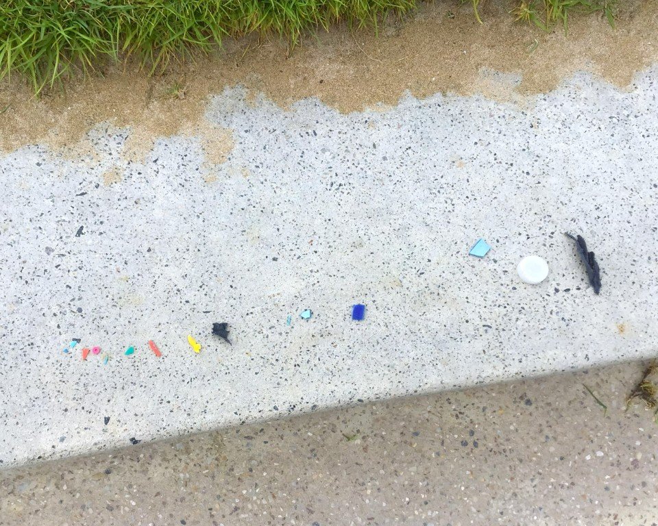 beach-cleanup-2026 (5).jpg