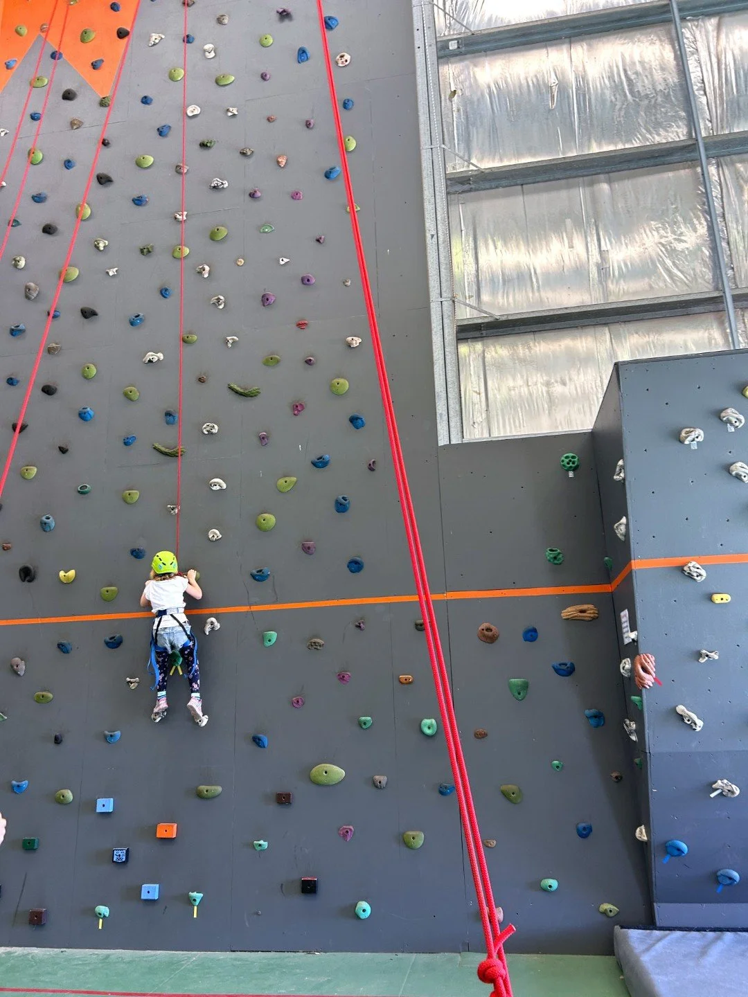 2026-LP-Camp (10).jpeg