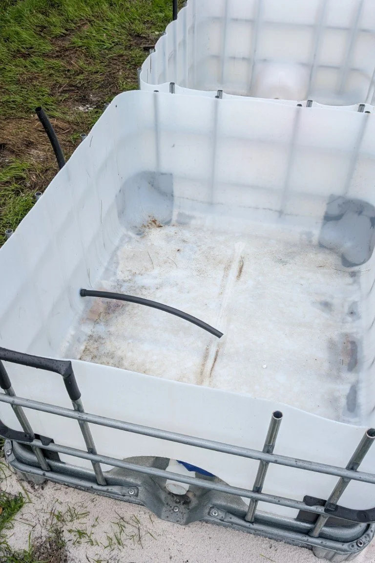 Wicking-Beds (2) (Medium).jpg