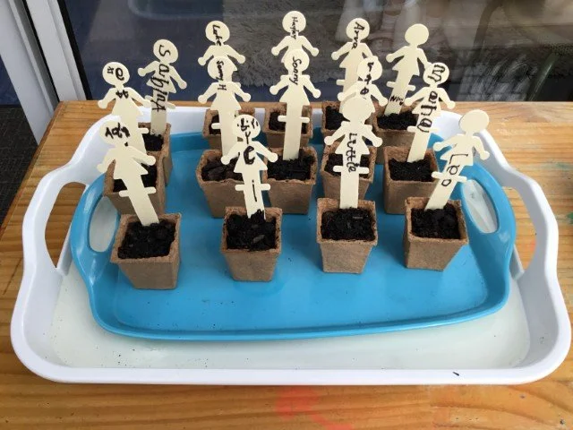 seeds (Small).JPG