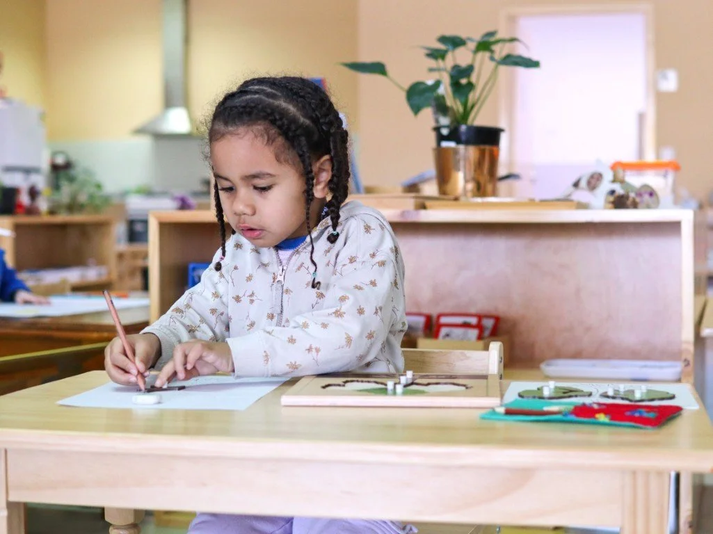 A Children's House (kindy) student with braided hair sitting at a desk, drawing with a pencil on paper, in a Montesori classroom.