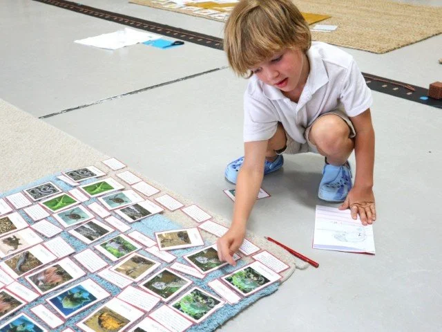 A young primary school aged boy crouching on the floor organising picture cards with images and text, laid out on a rug, in a classroom setting.