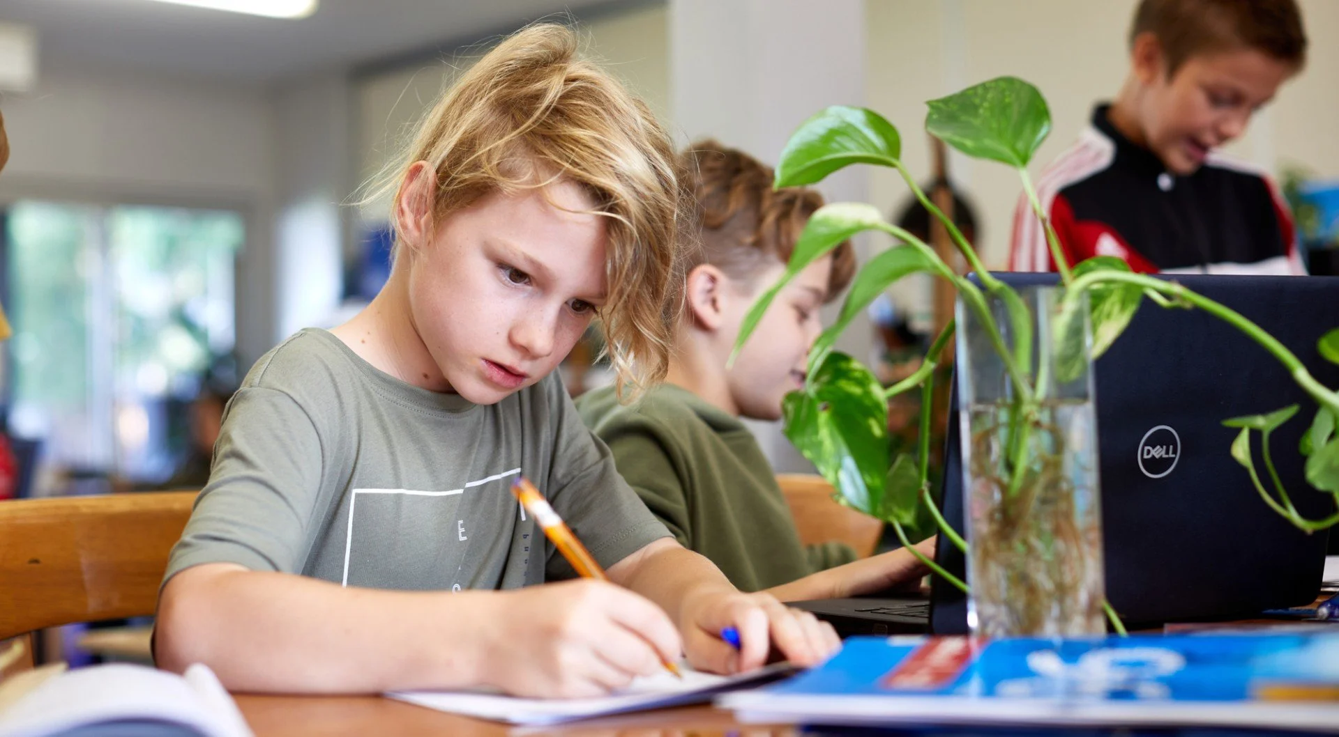 k-12-school.jpg