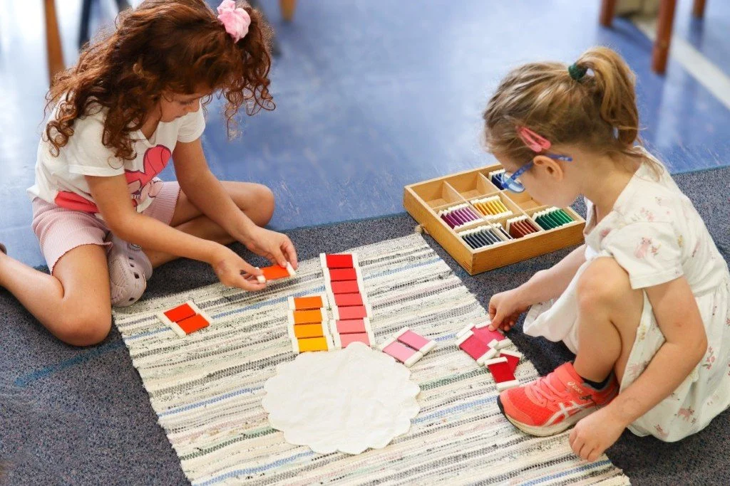 Two Pre-Primary students are working on the Montessori Colour Cards