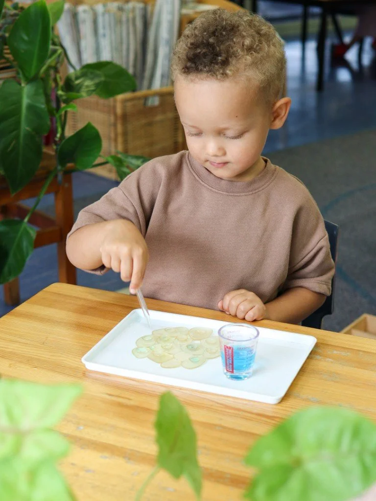 Young boy with curly hair working on his Montessori job at Kindy