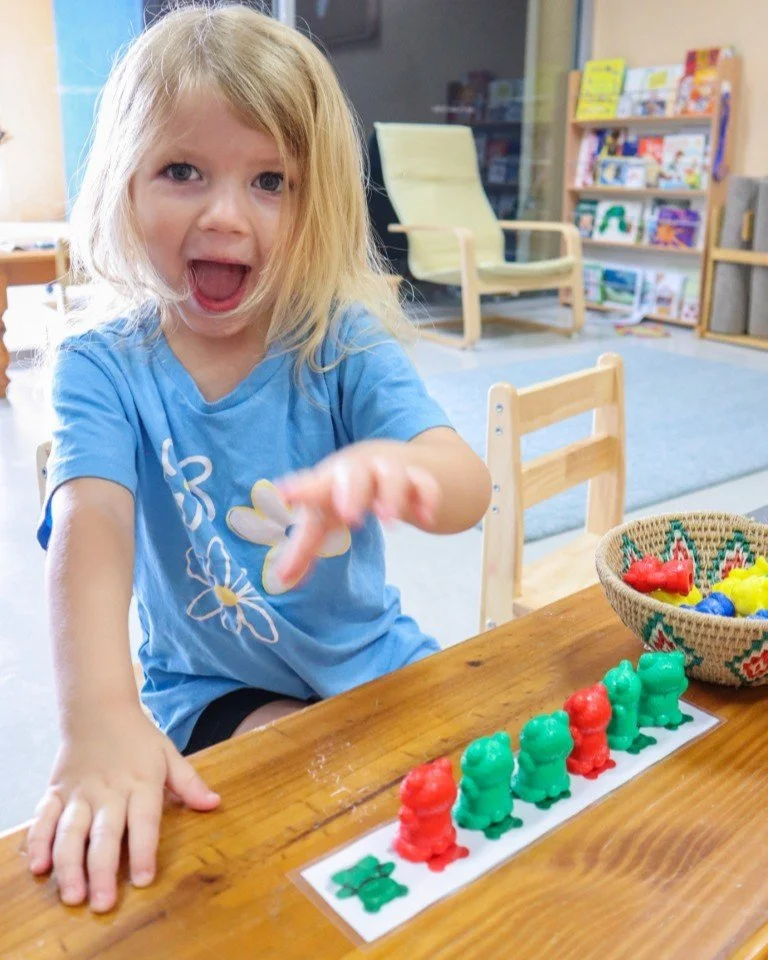 A young children's house student happily completing her activity