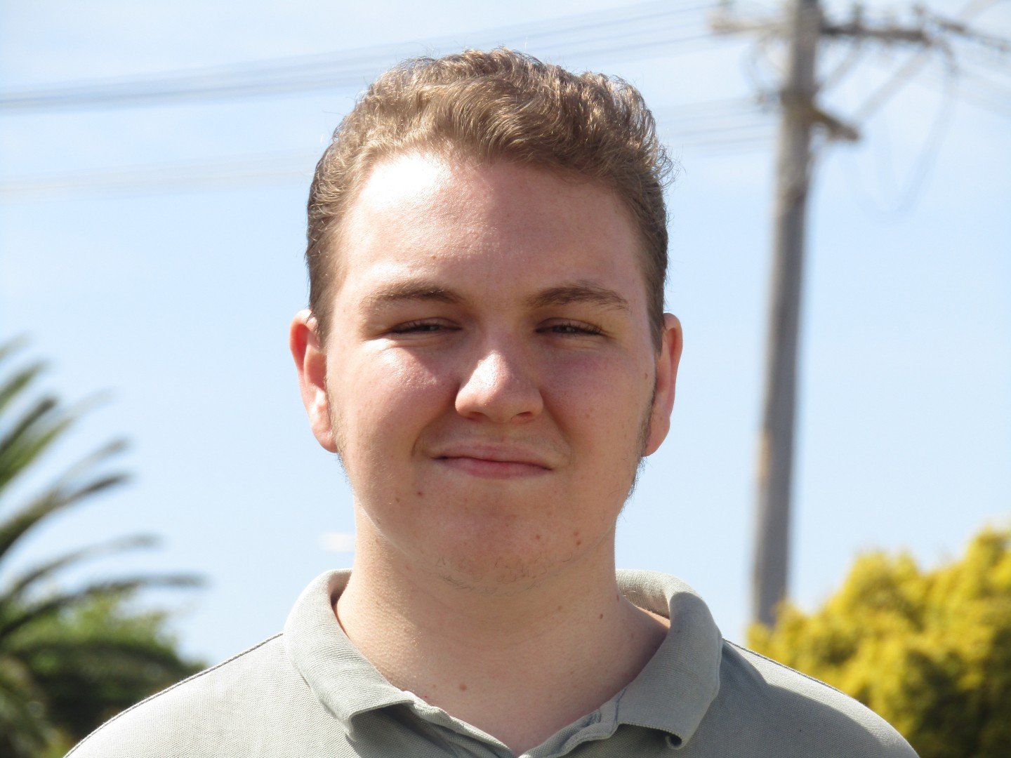 A young man with short brown hair and fair skin, wearing a light gray polo shirt, standing outdoors with a clear blue sky, some trees, and power lines in the background.