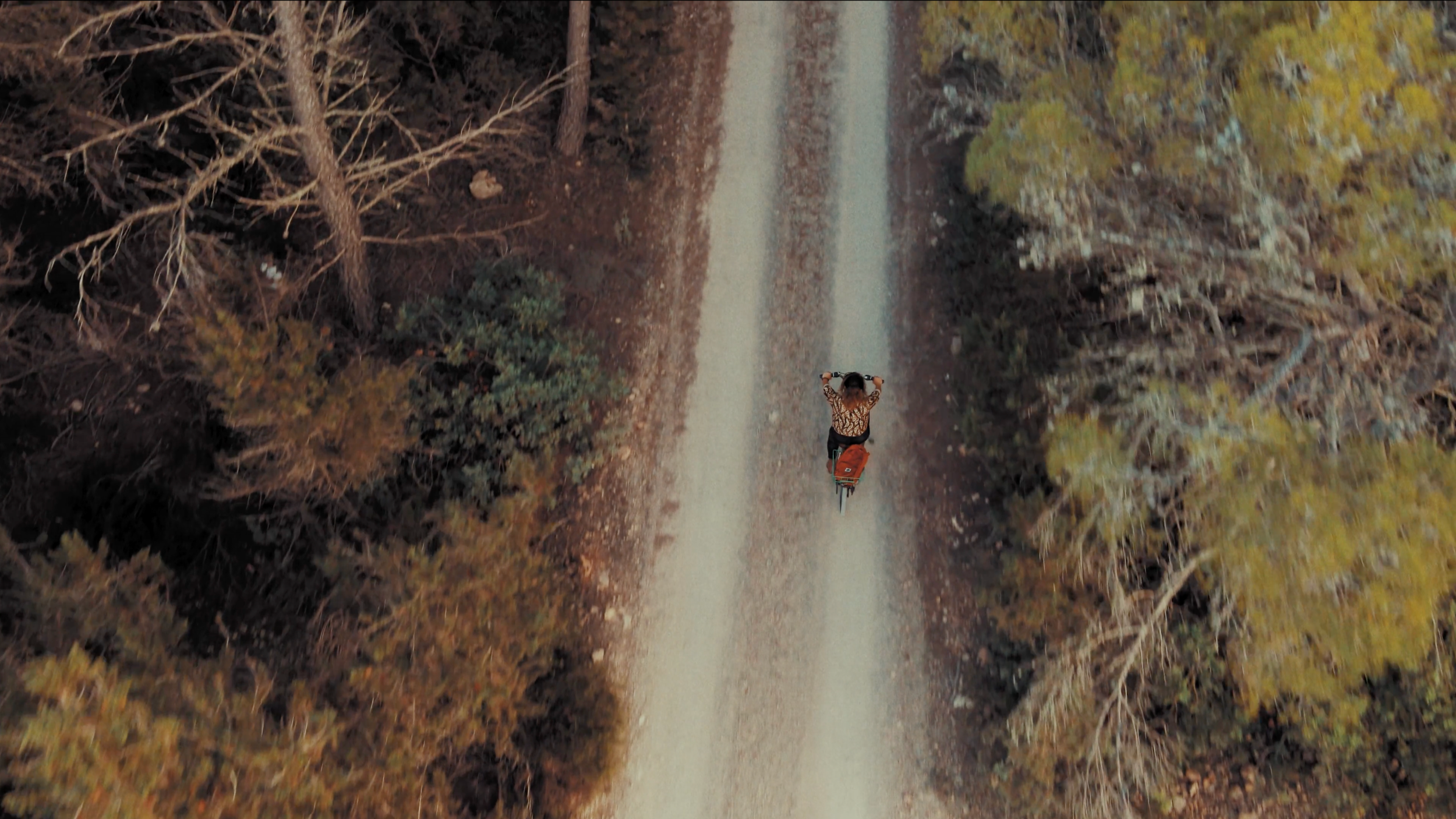 Una persona pedaleando en bicicleta por un sendero natural rodeado de árboles en un bosque.