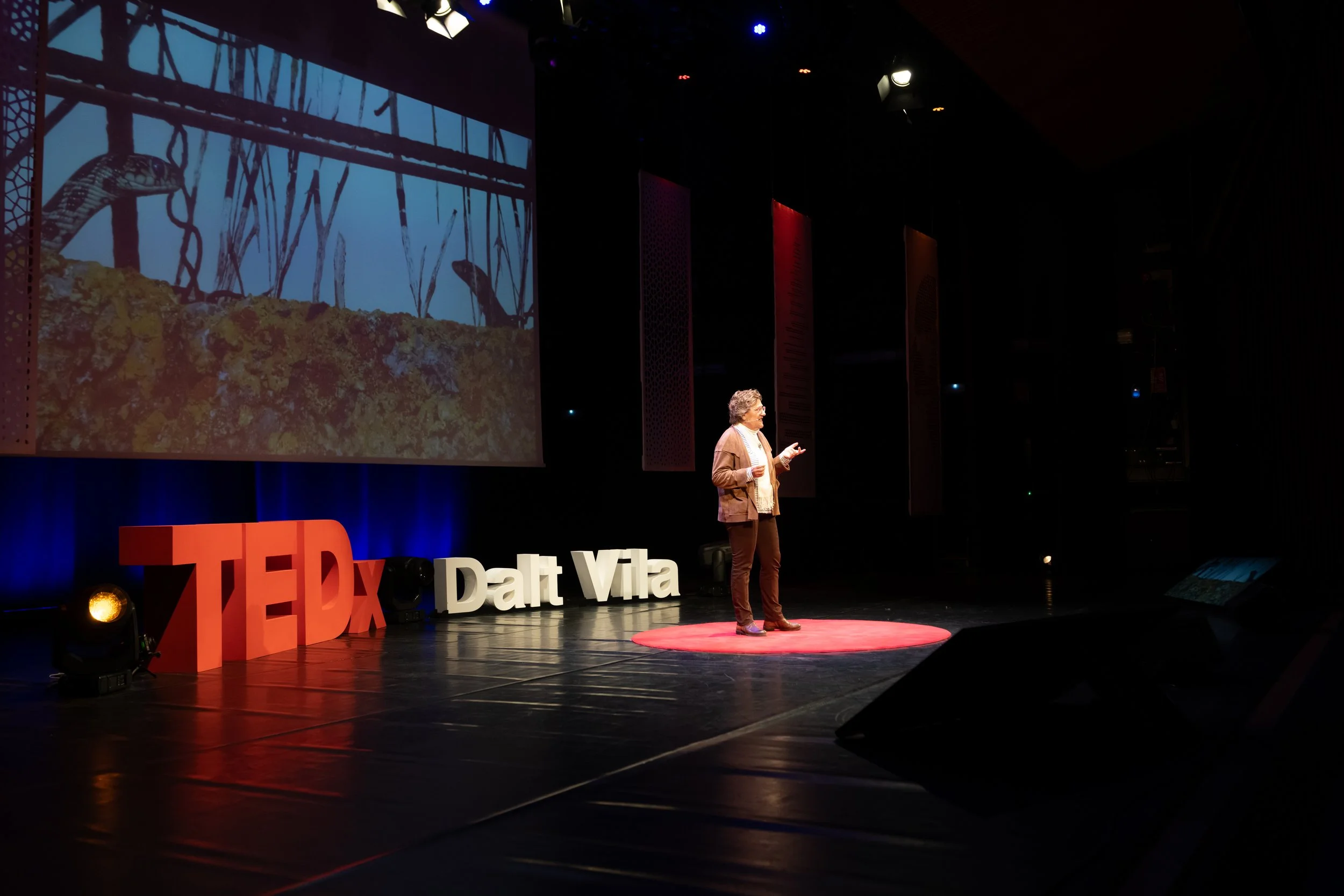 TedX Dalt Vila 2025, Antonia M. Cirer
Photo Credit: Gypsy Westwood