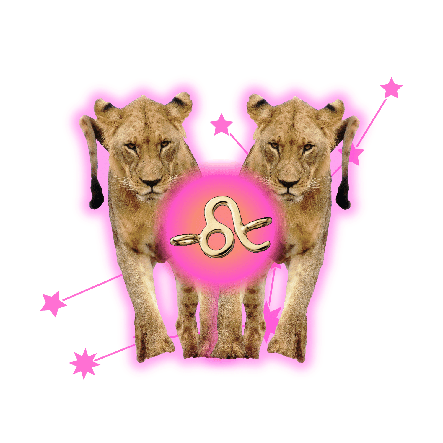 Nicole-Darin-Astrologer-Branding-Website-Design-PEARLER (7).png