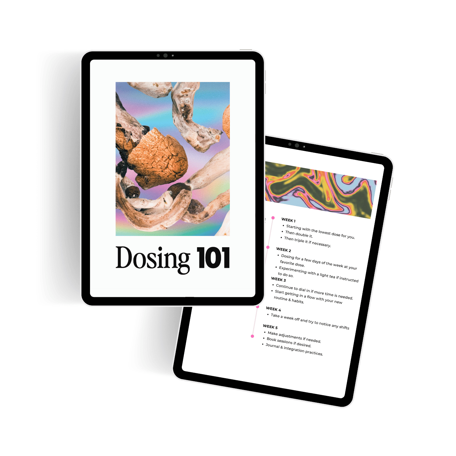 Nicole-Darin-Astrologer-Branding-Website-Design-PEARLER (2).png