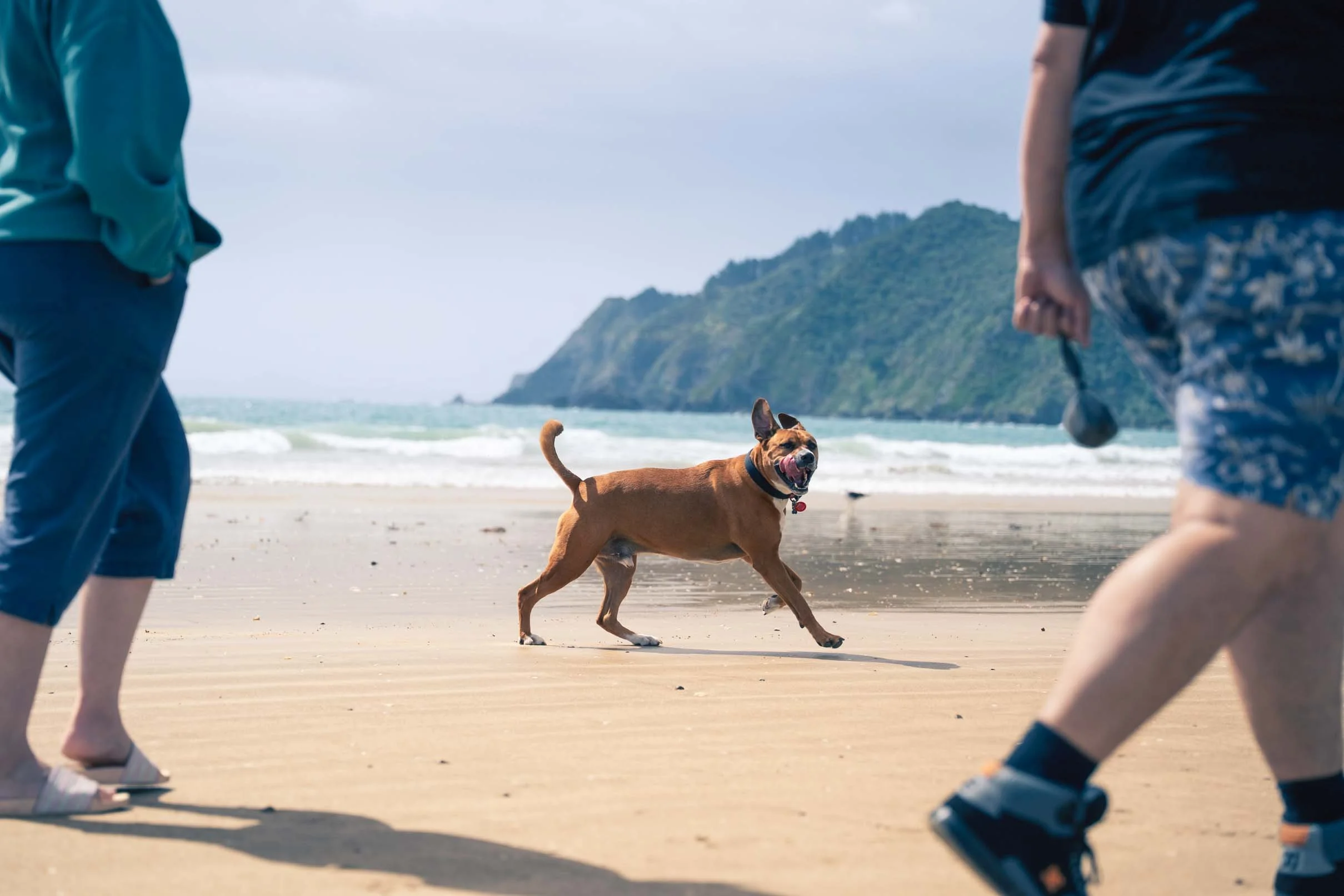 DSC01559.jpg
