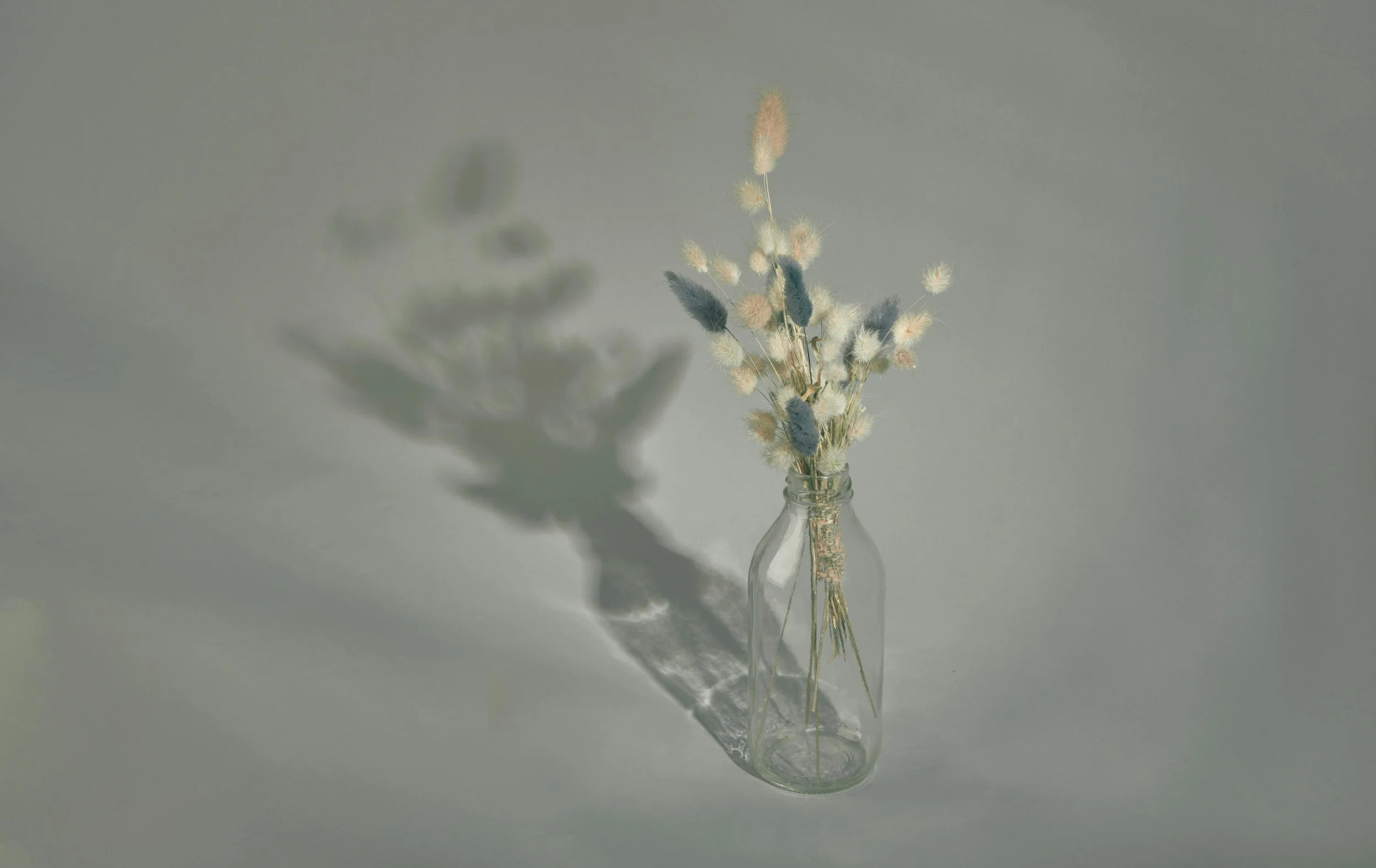 A clear glass bottle holding a bouquet of dried flowers with soft light casting a shadow on the plain background.