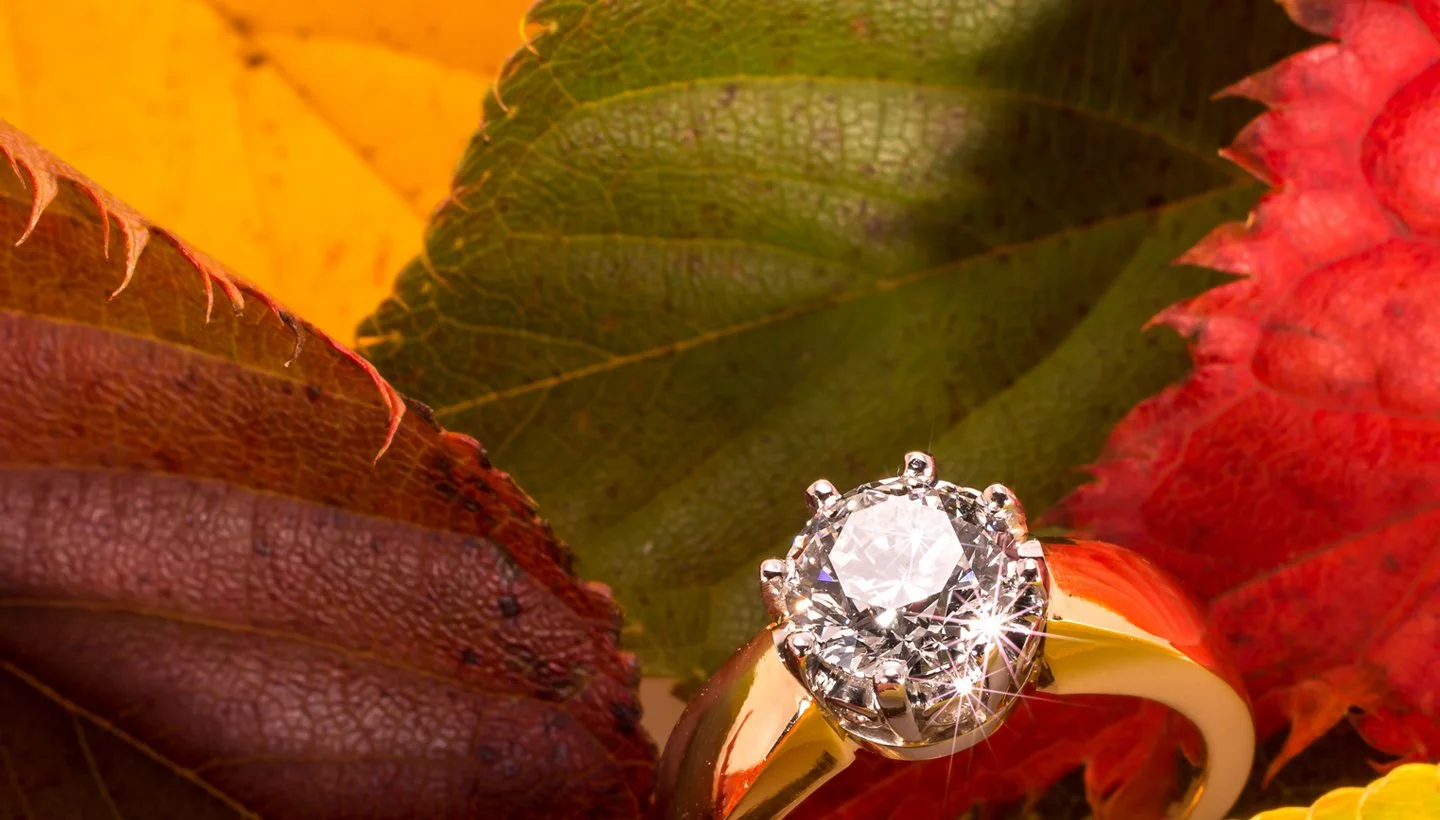 Exquisite, sparkling, diamond ring nestled in autumn leaves