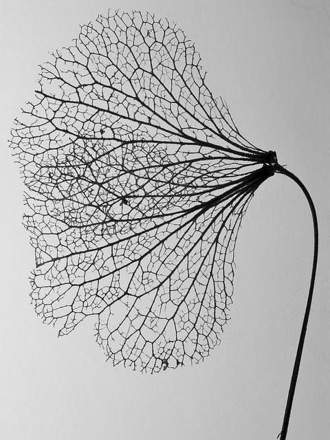 Een nieuw perspectief