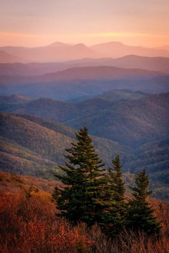 Liefdesrelaties: een onderzoek