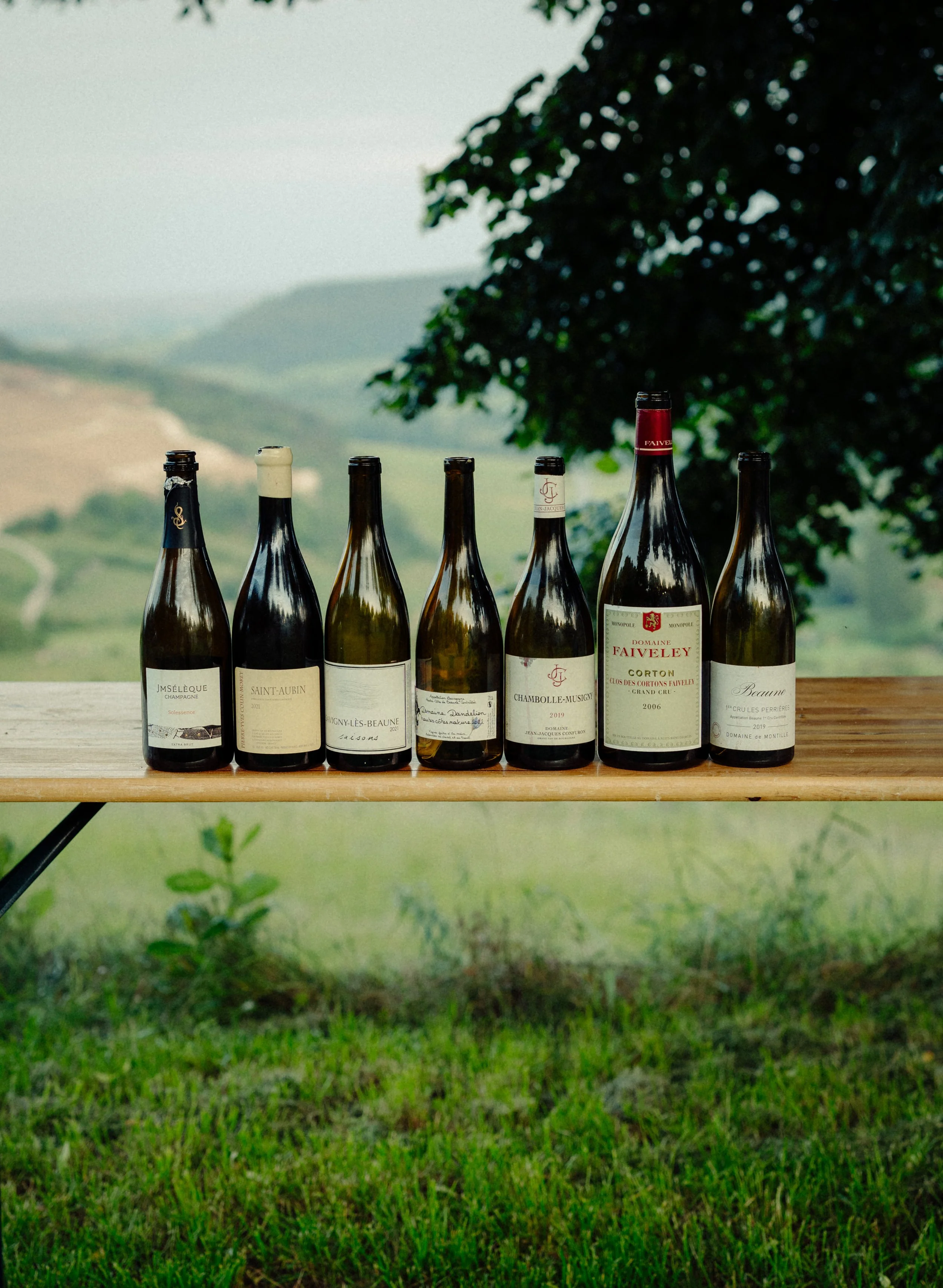Six bouteilles de vin alignées sur une table en bois dans un paysage de campagne avec des collines et des arbres en arrière-plan.
