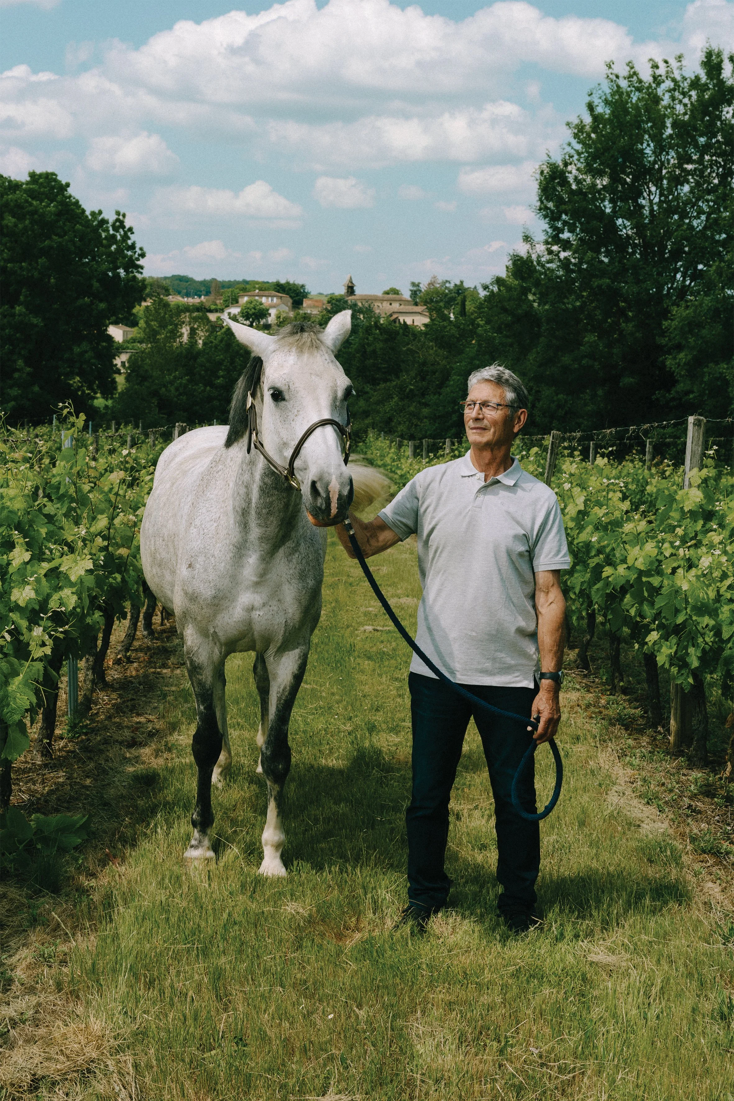 Un homme avec un cheval dans un vignoble en plein air, sous un ciel partiellement nuageux.