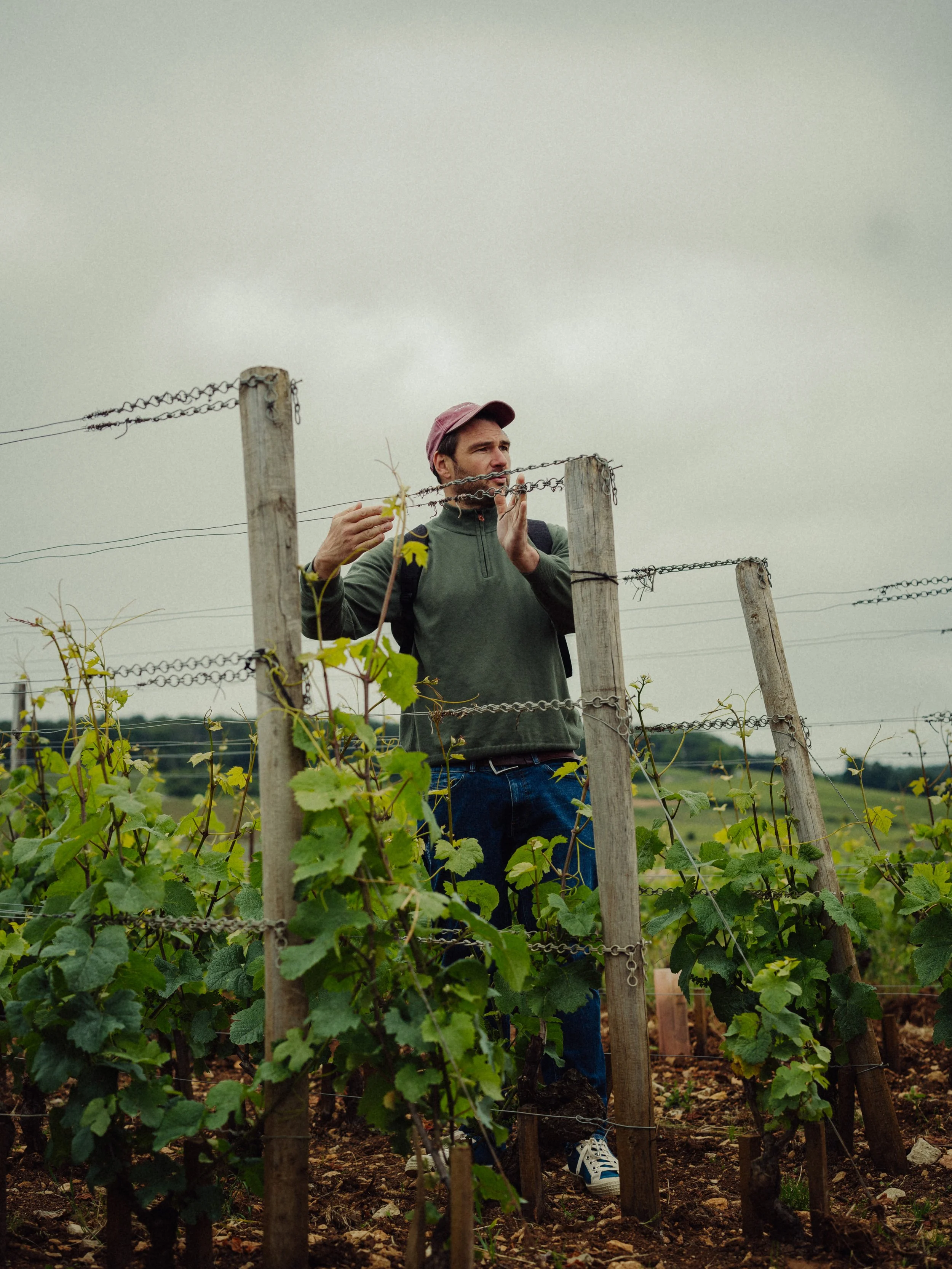 Un homme en train d'inspecter des vignes dans un vignoble sous un ciel nuageux, portant une veste et un chapeau