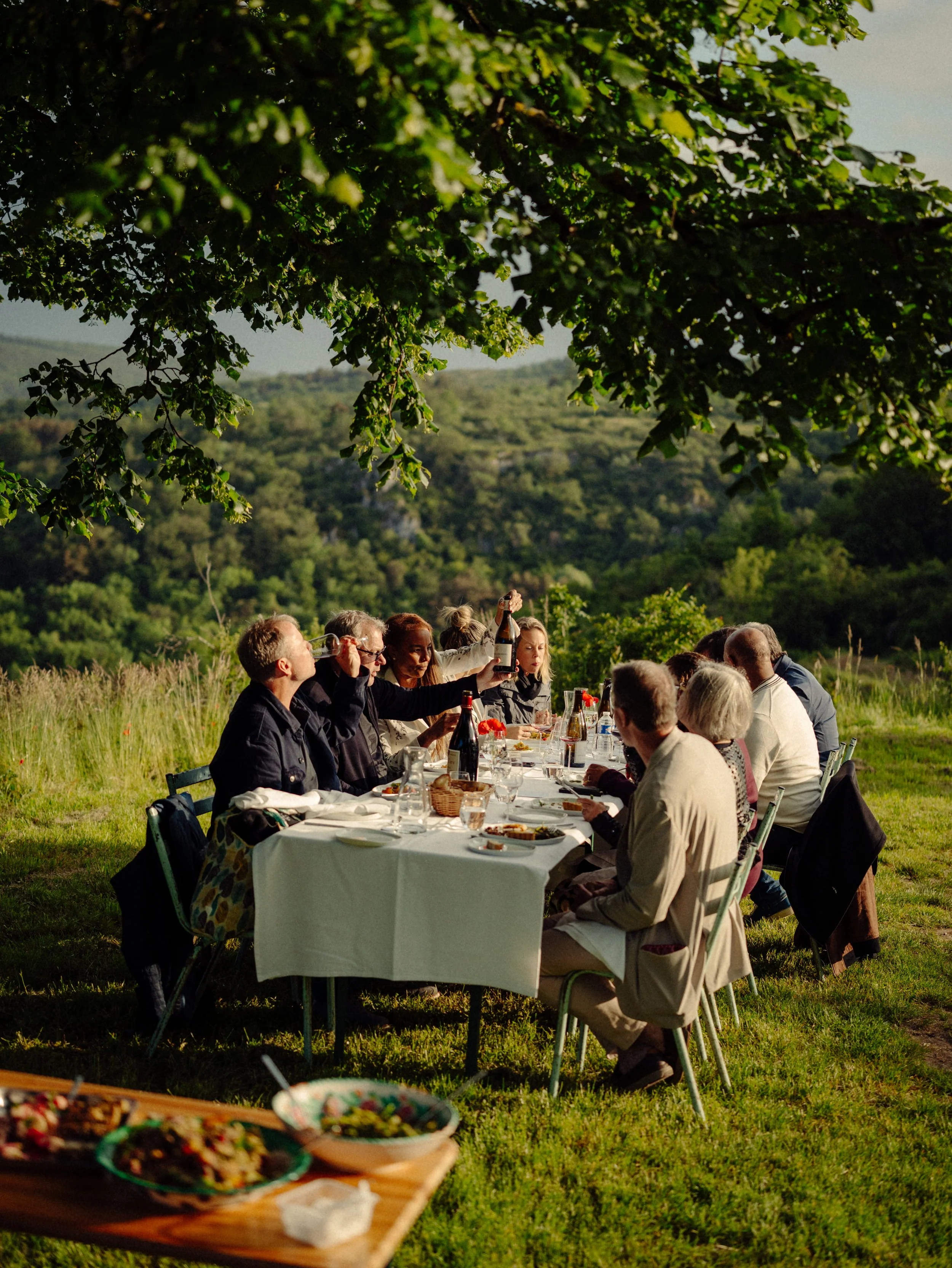 Groupe de personnes assises autour d'une longue table en plein air, partageant un repas lors d'un dîner en plein air avec un paysage verdoyant en arrière-plan.