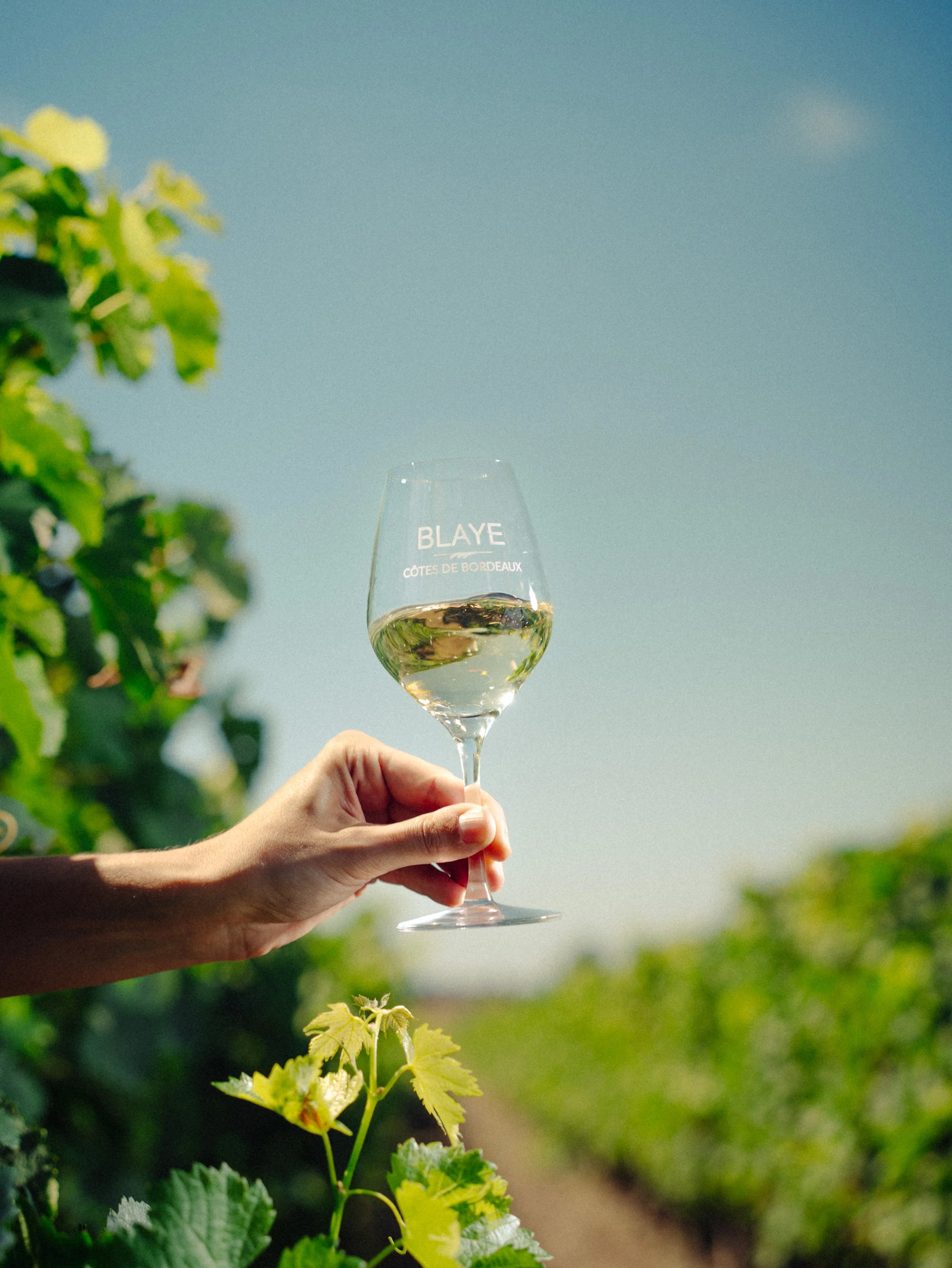 Une main tient un verre de vin blanc dans une vigne, avec le nom « BLAYE » et « CÔTES DE BORDEAUX » écrit sur le verre, sous un ciel clair et ensoleillé.