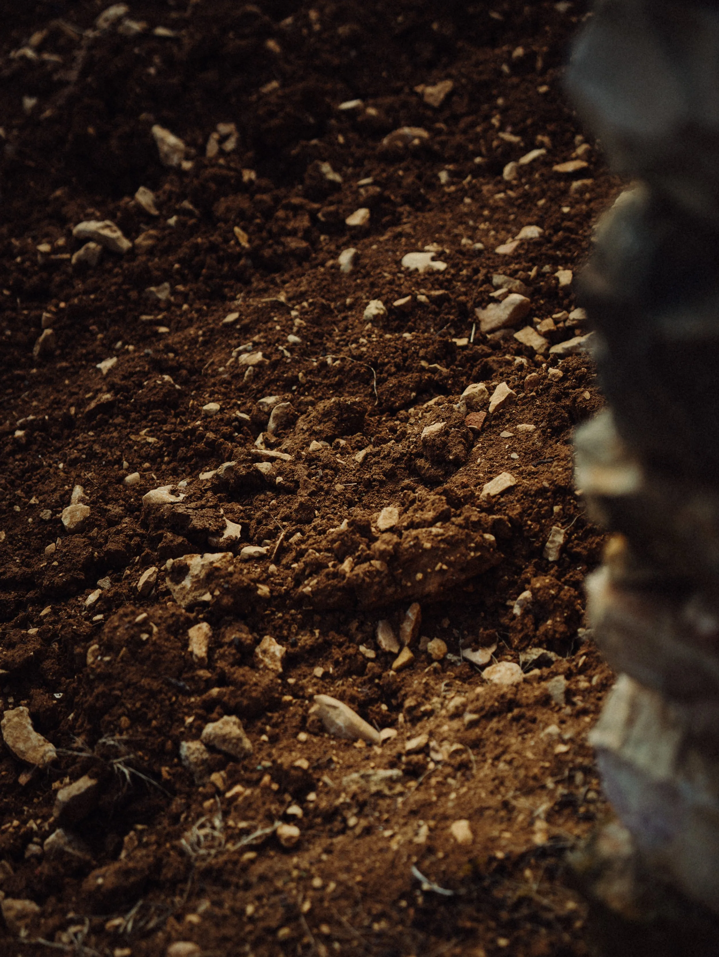 Sol en terre rouge avec des petits cailloux et une partie de tronc d'arbre à droite