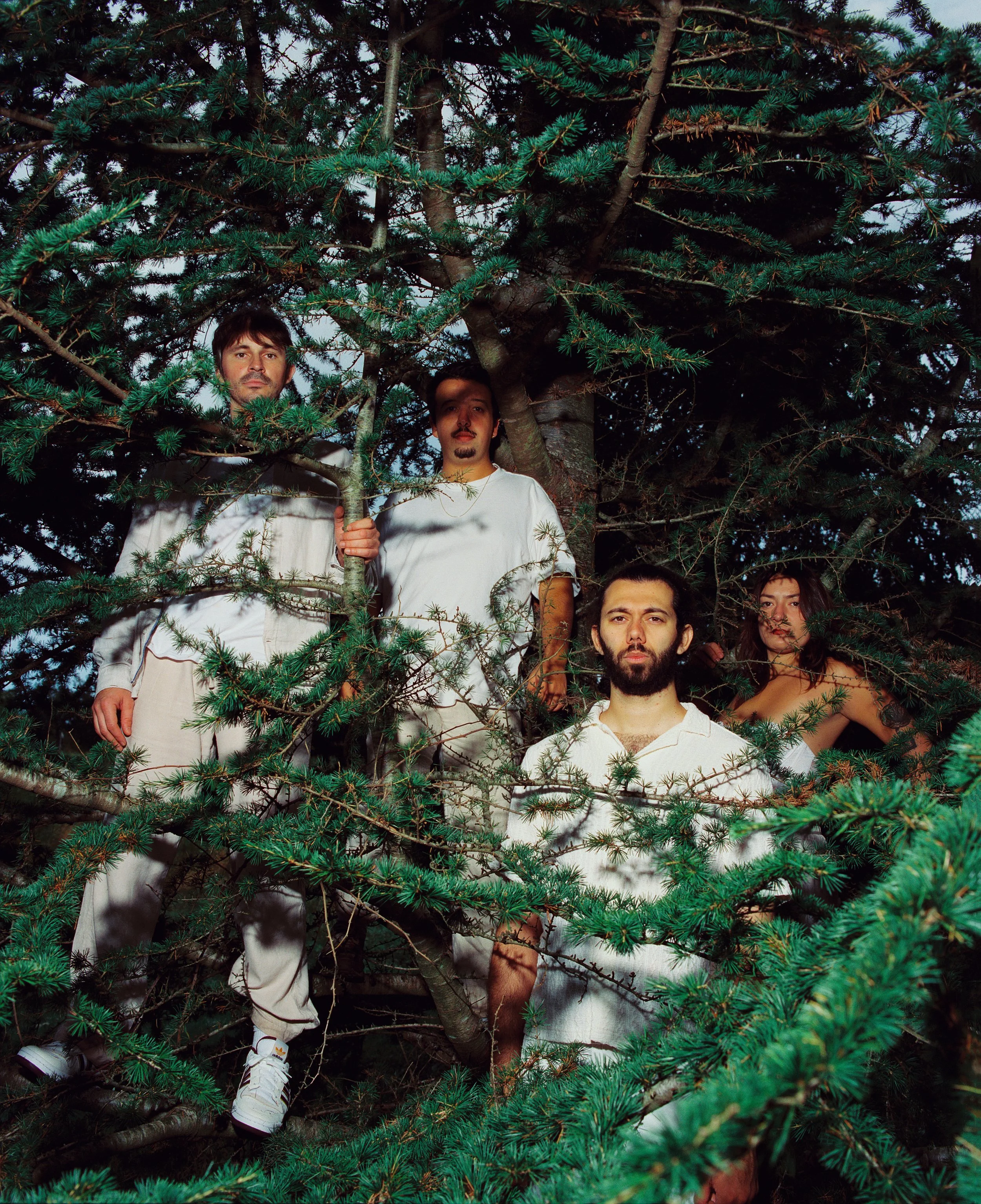 Quatre personnes dans un arbre vert, certaines en tenues blanches, en milieu naturel, avec un ciel bleu en arrière-plan.