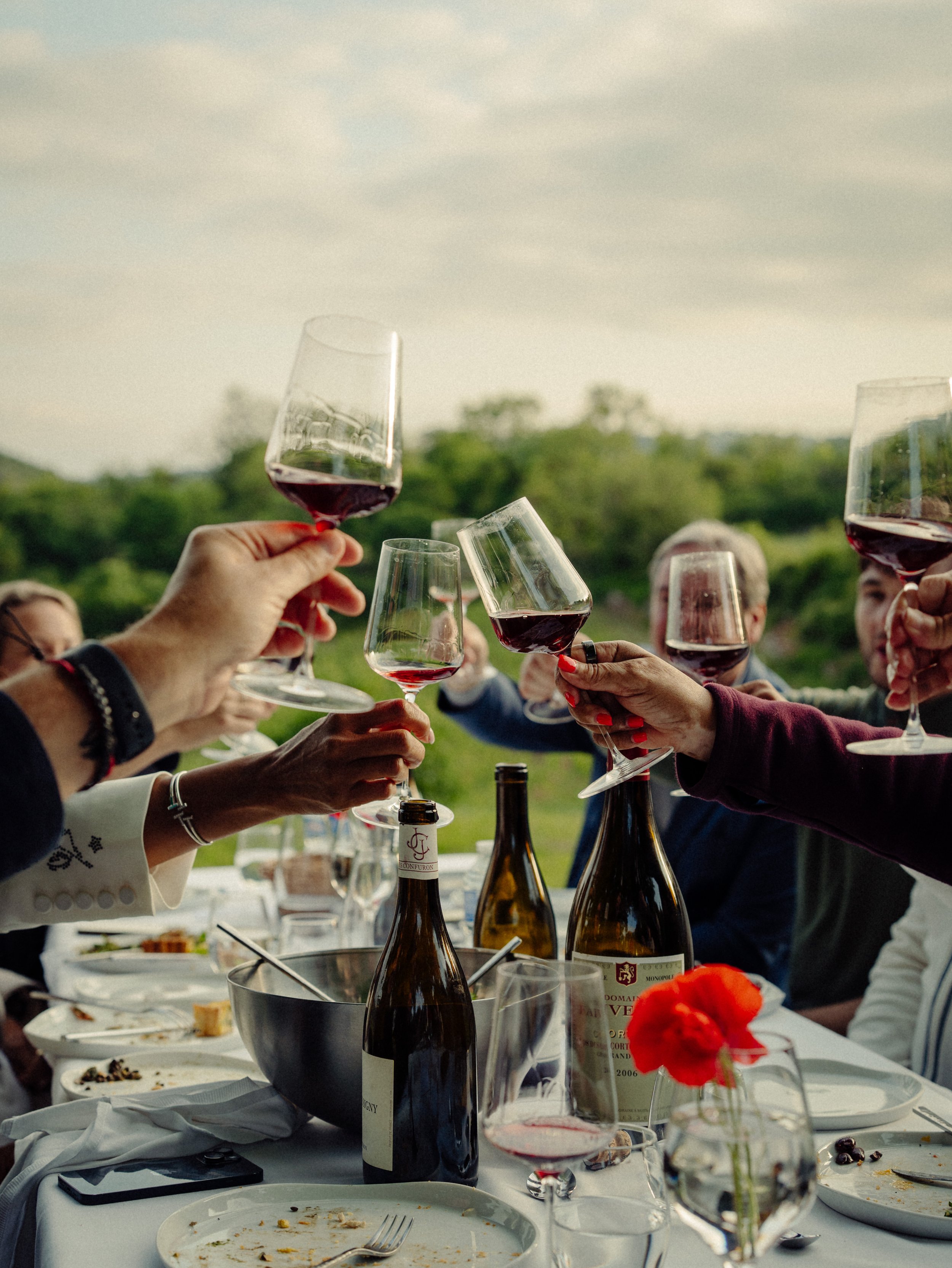 Groupe de personnes trinquant avec des verres de vin rouge lors d'un repas en plein air, avec un paysage verdoyant en arrière-plan.