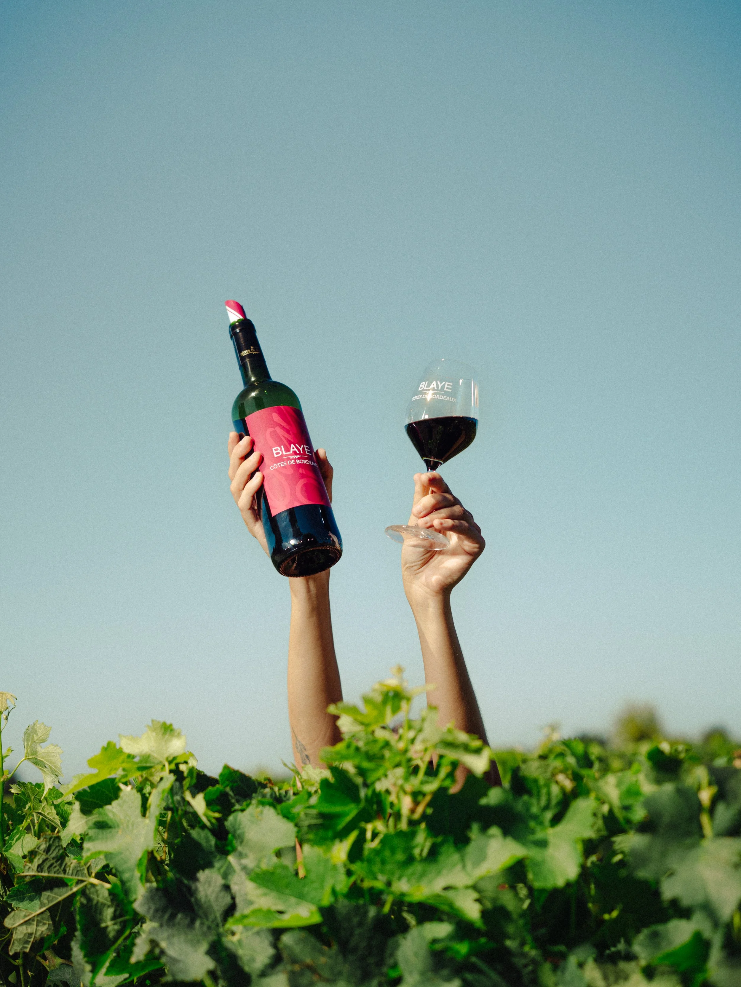 Deux bras sortant de la végétation, tenant une bouteille de vin rouge et un verre de vin rouge contre un ciel clair
