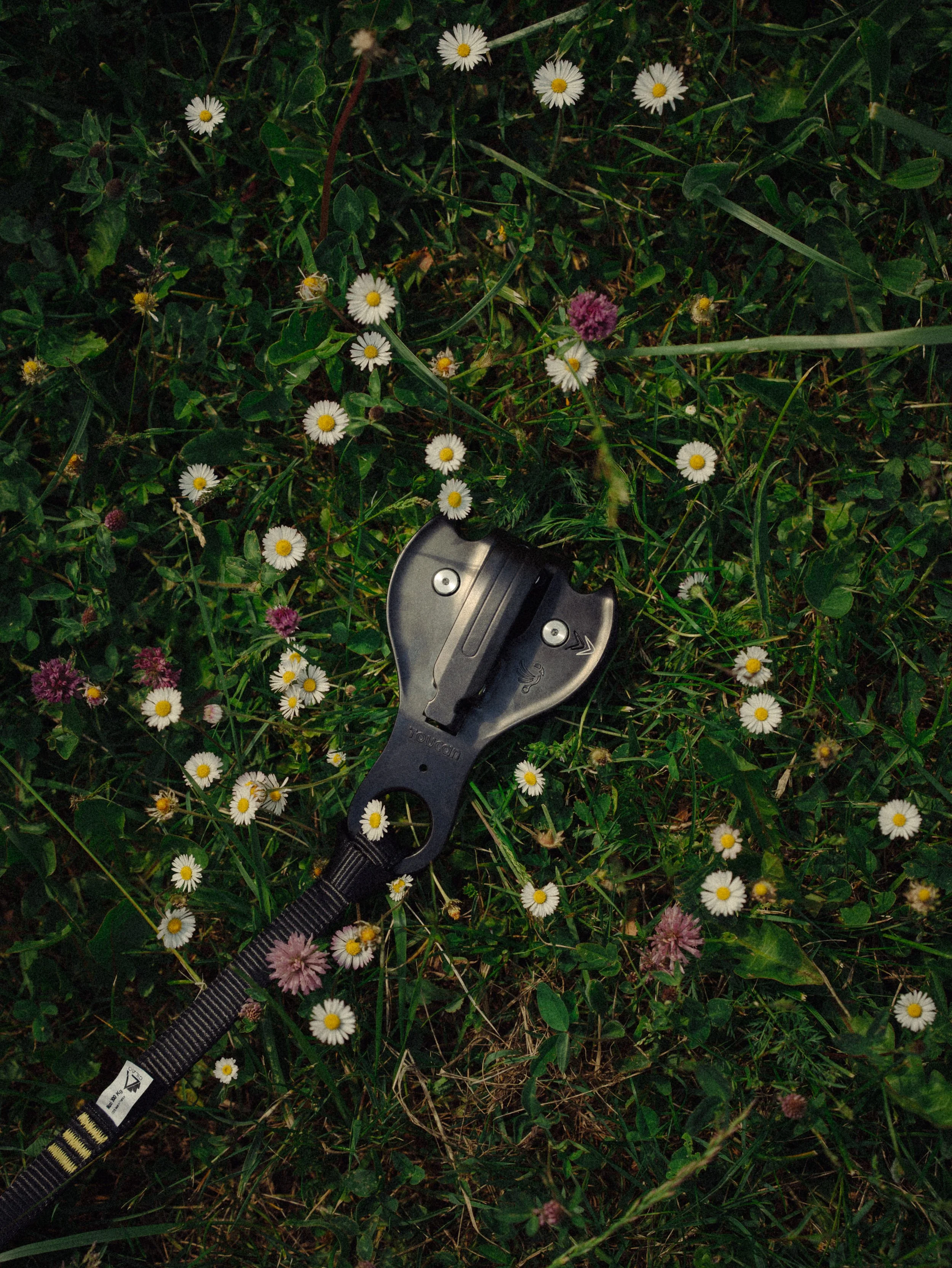 Une dendrière de fouilles en métal sur de l'herbe avec des petites fleurs blanches et violettes. 