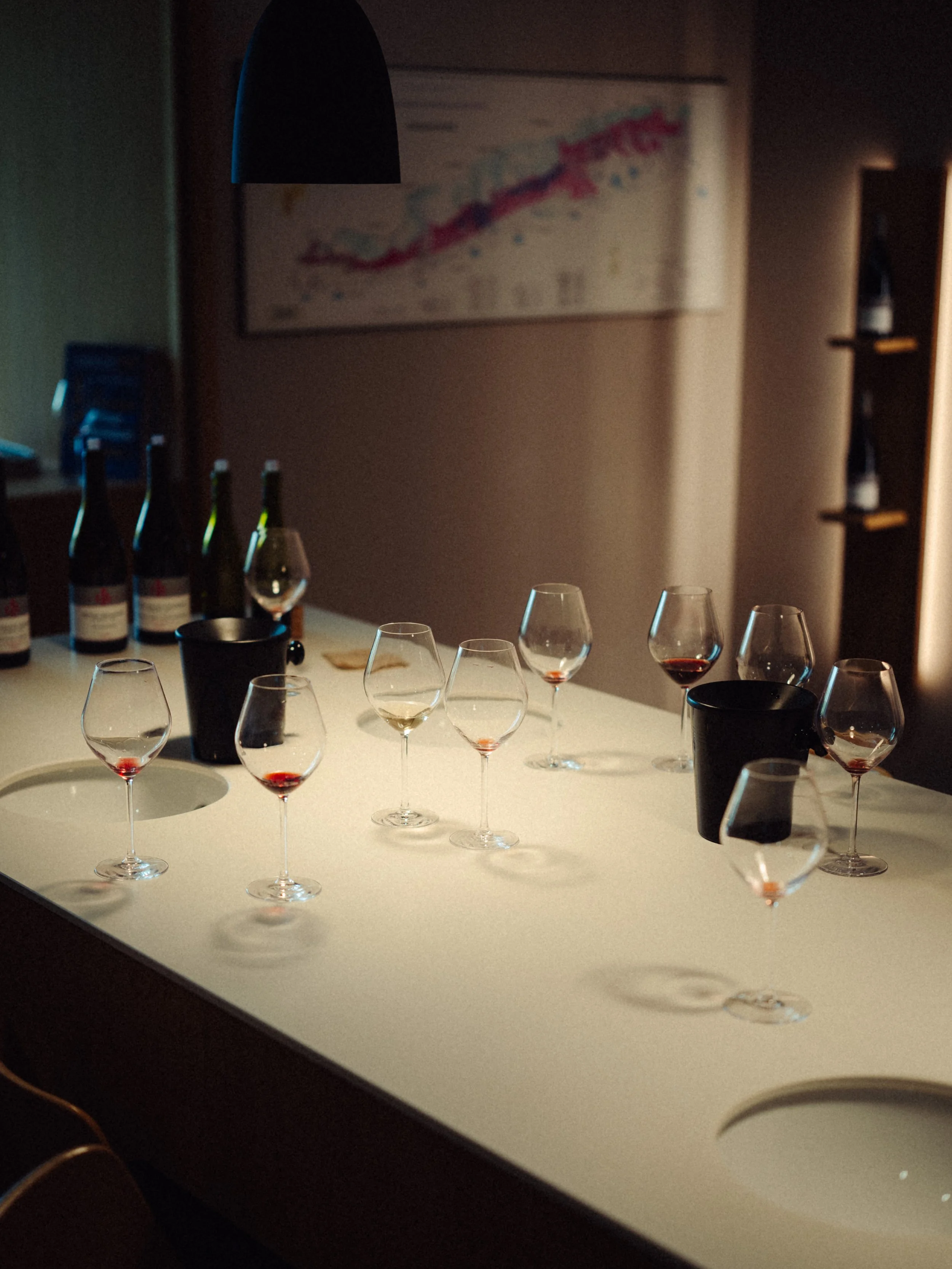 Verres de vin rouge et blanc, bouteilles de vin et seaux à glace sur une table dans une salle de dégustation de vin.
