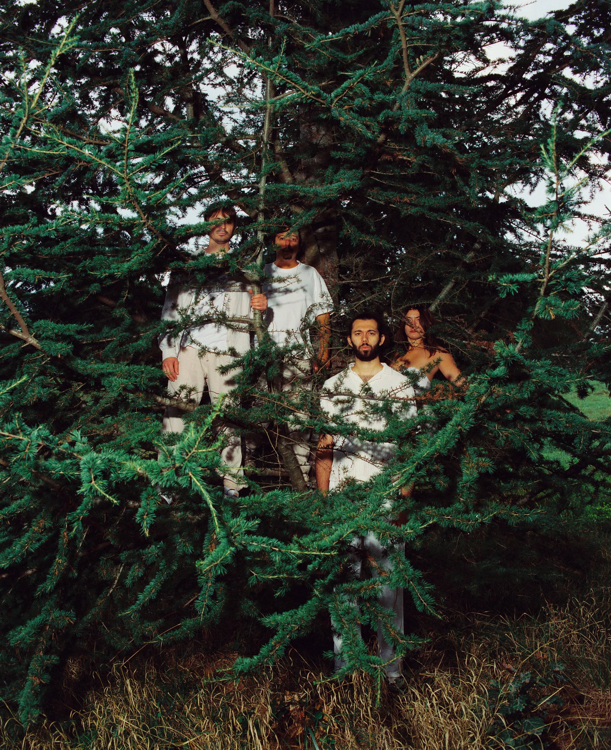 Groupe de quatre personnes posant derrière un arbre, en plein air, vêtues de vêtements blancs, avec une forêt en arrière-plan.