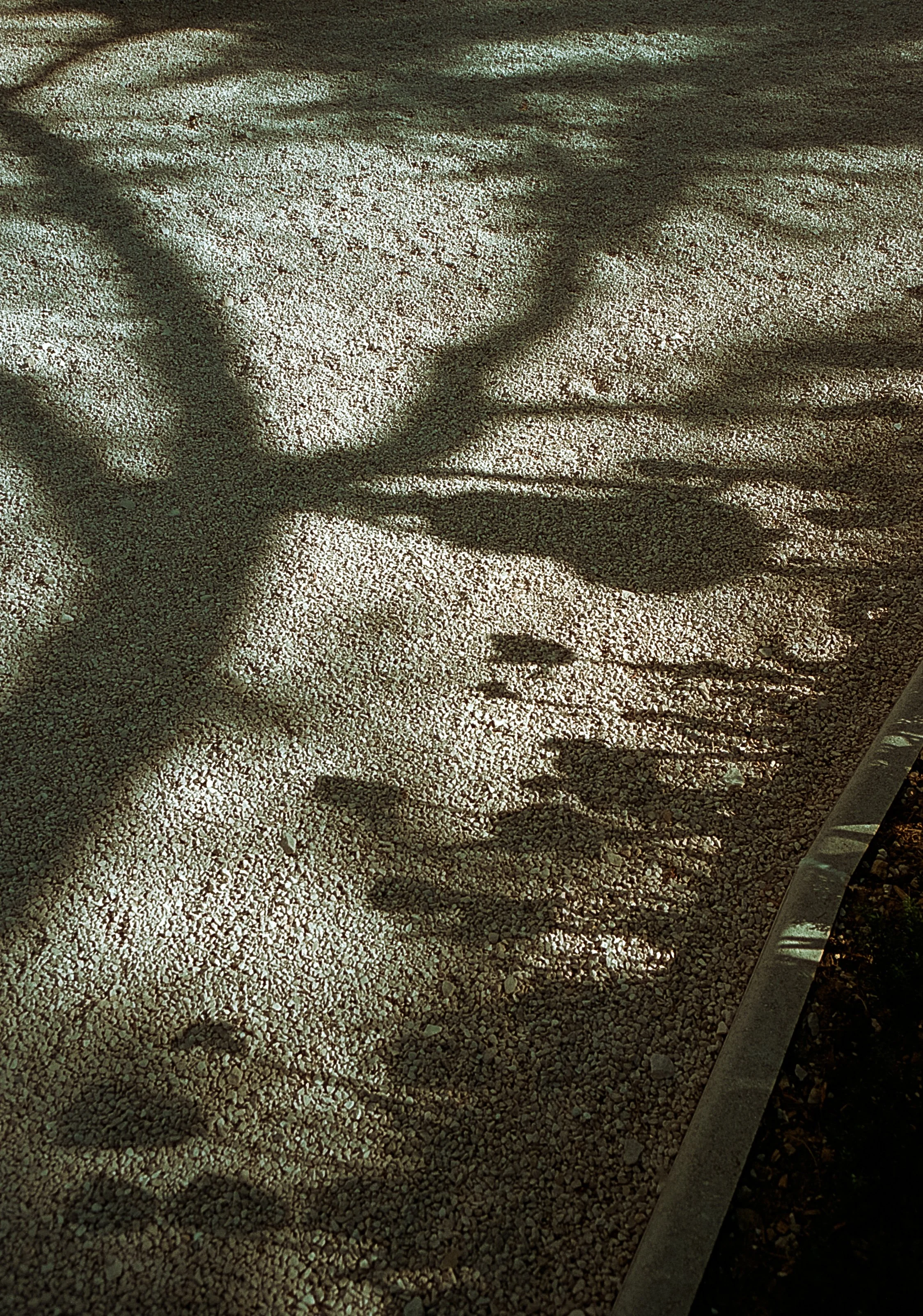 Ombres d'arbres projetant des silhouettes sur un chemin de gravier.