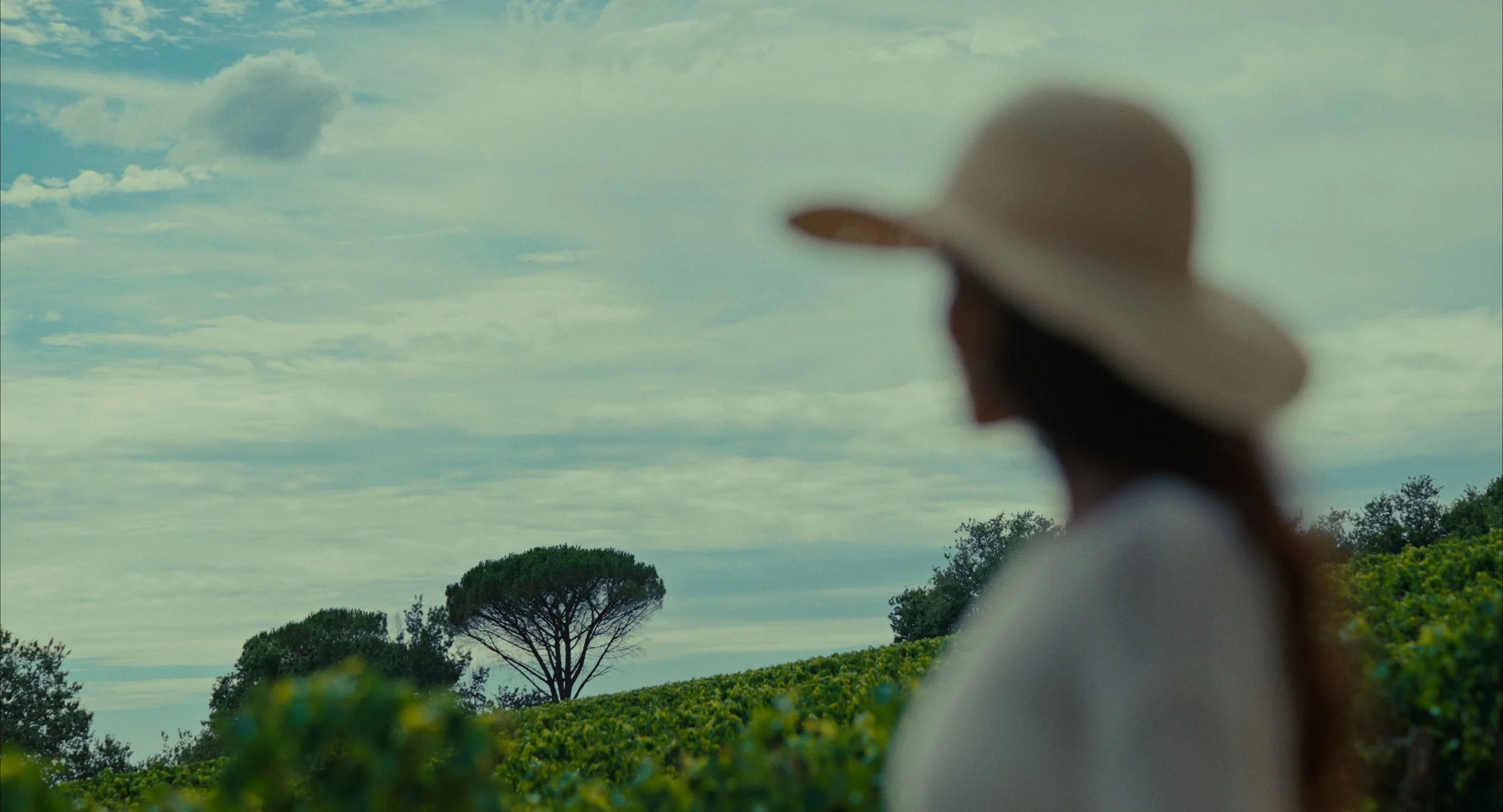 Une femme portant un chapeau large regarde vers le paysage verdoyant et un ciel nuageux.