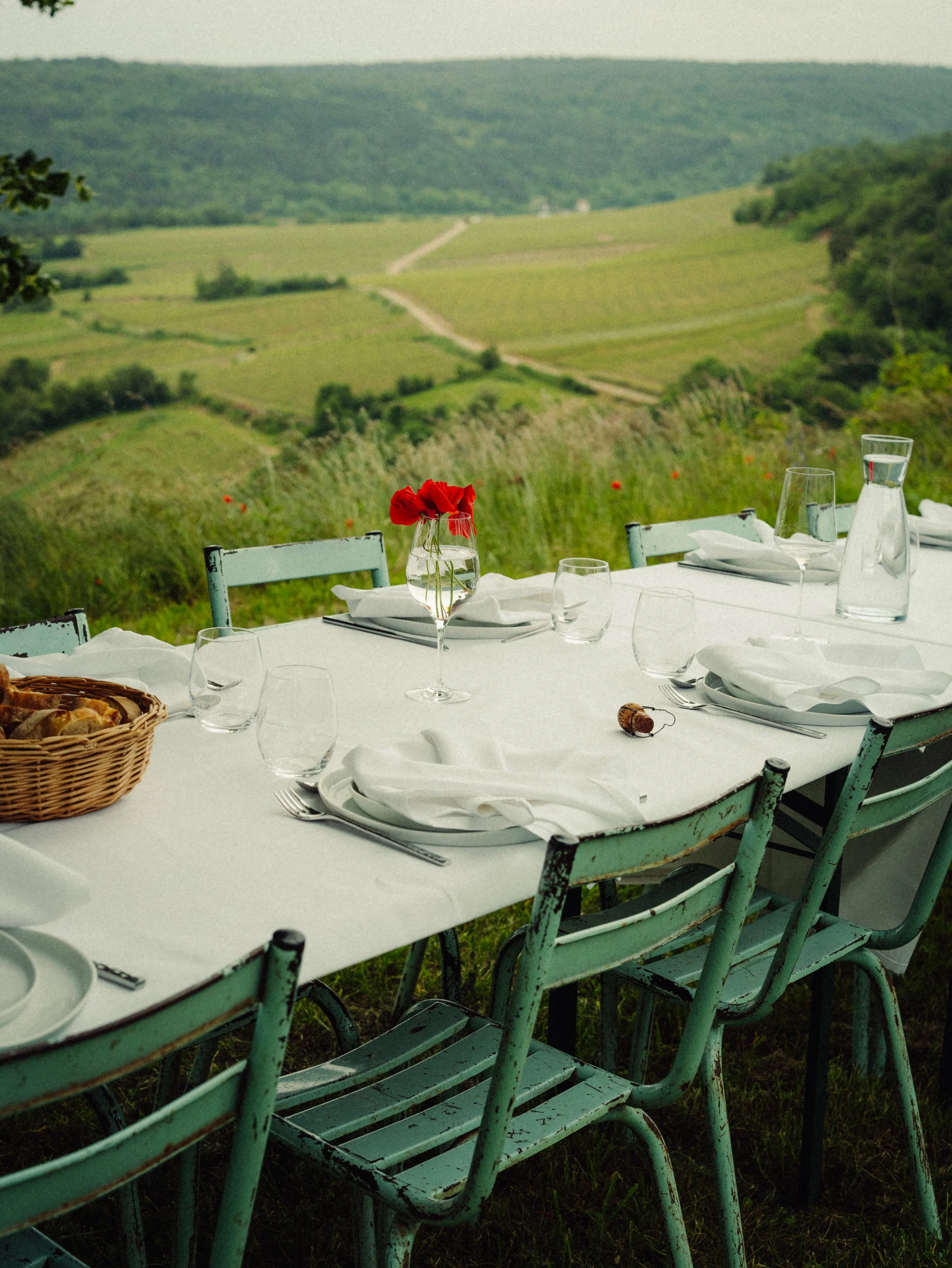 Table de dîner en plein air avec assiettes, verres, serviettes blanches, une carafe d'eau, un vase avec des fleurs rouges, des croissants dans un panier, et un paysage de collines verdoyantes en arrière-plan.