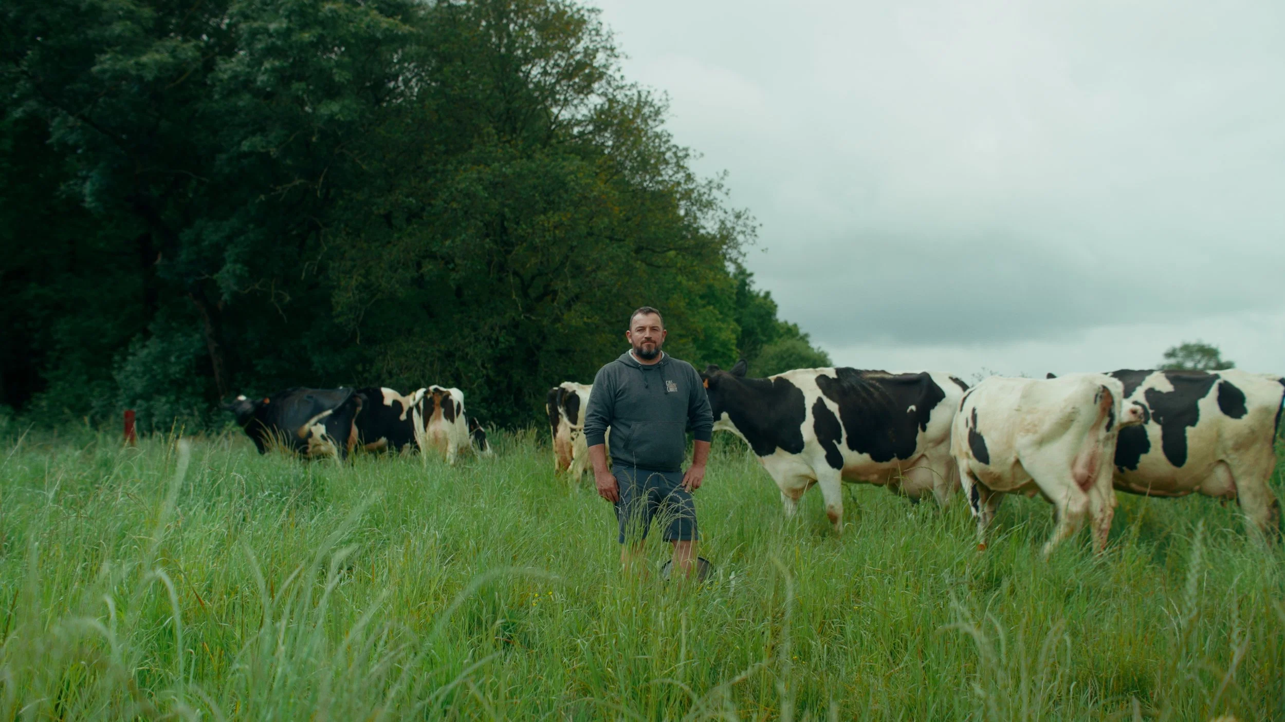 Un homme tout seul dans un pré vert avec des vaches Holstein en arrière-plan, sous un ciel nuageux.