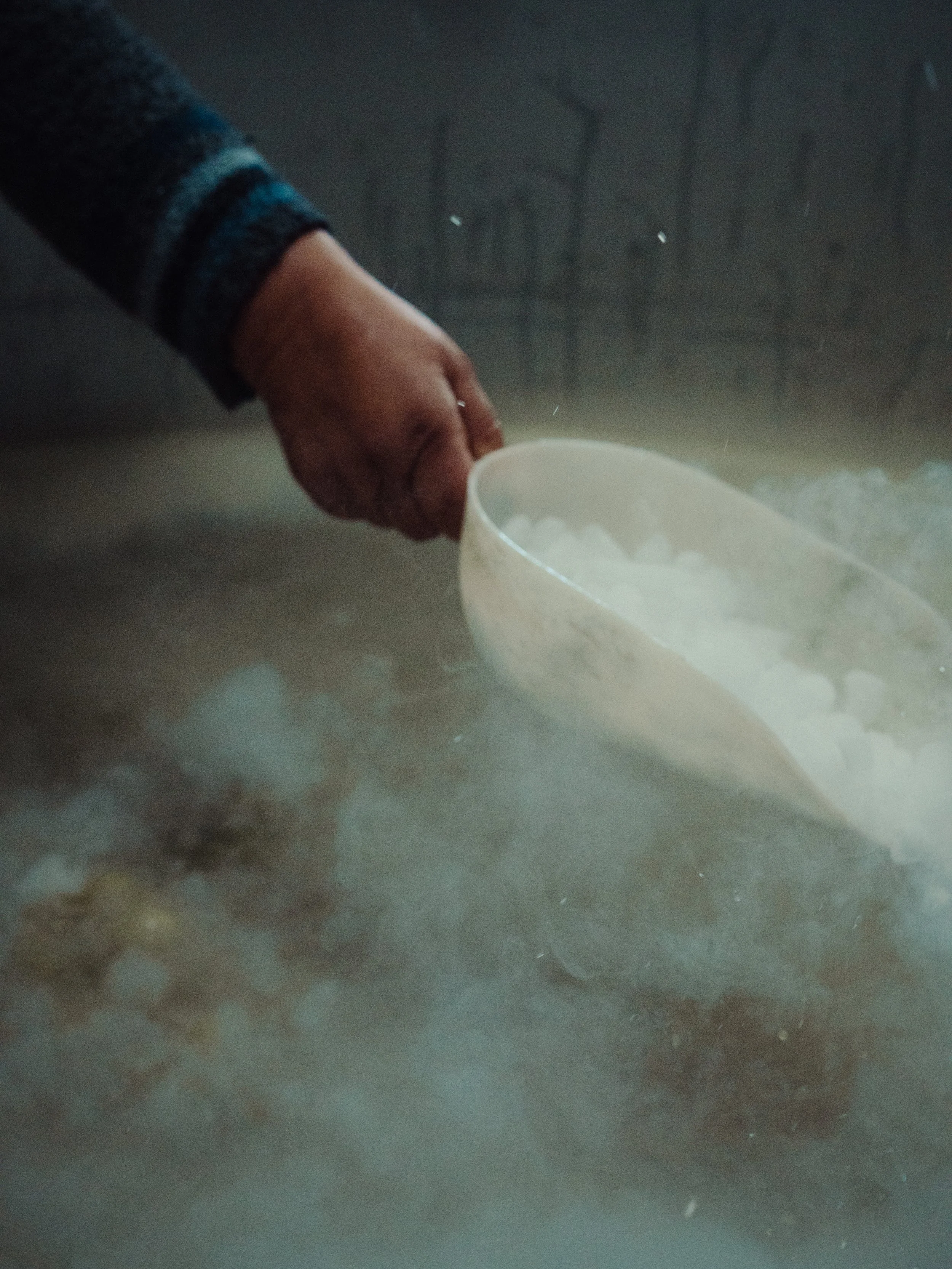 Une main humaine utilisant une pelle pour prendre de la neige ou de la glace dans une surface givrée.