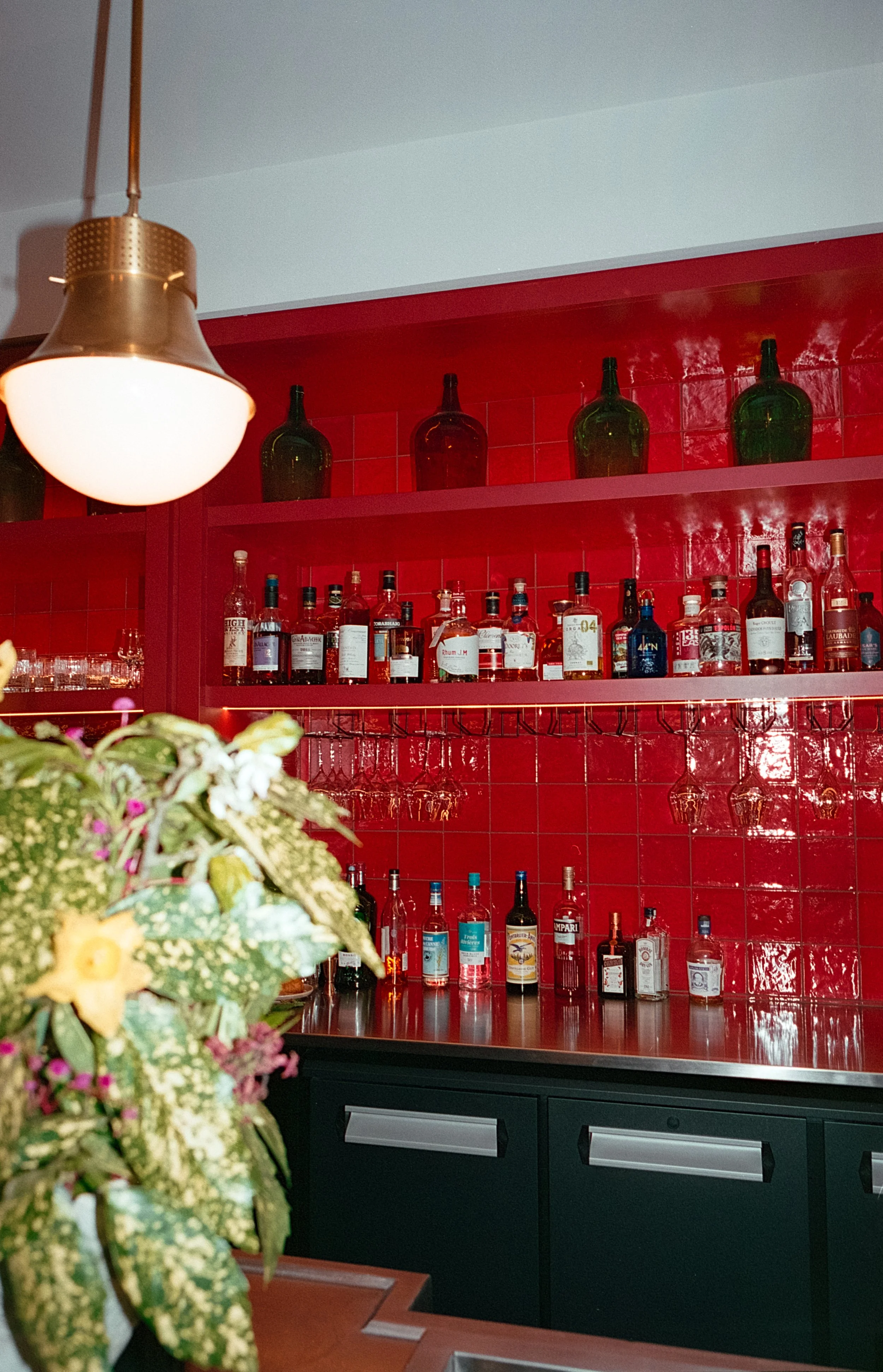 Une étagère avec des bouteilles d'alcool derrière un comptoir de bar rouge, avec un luminaire suspendu au plafond et des fleurs à l'avant-gauche.