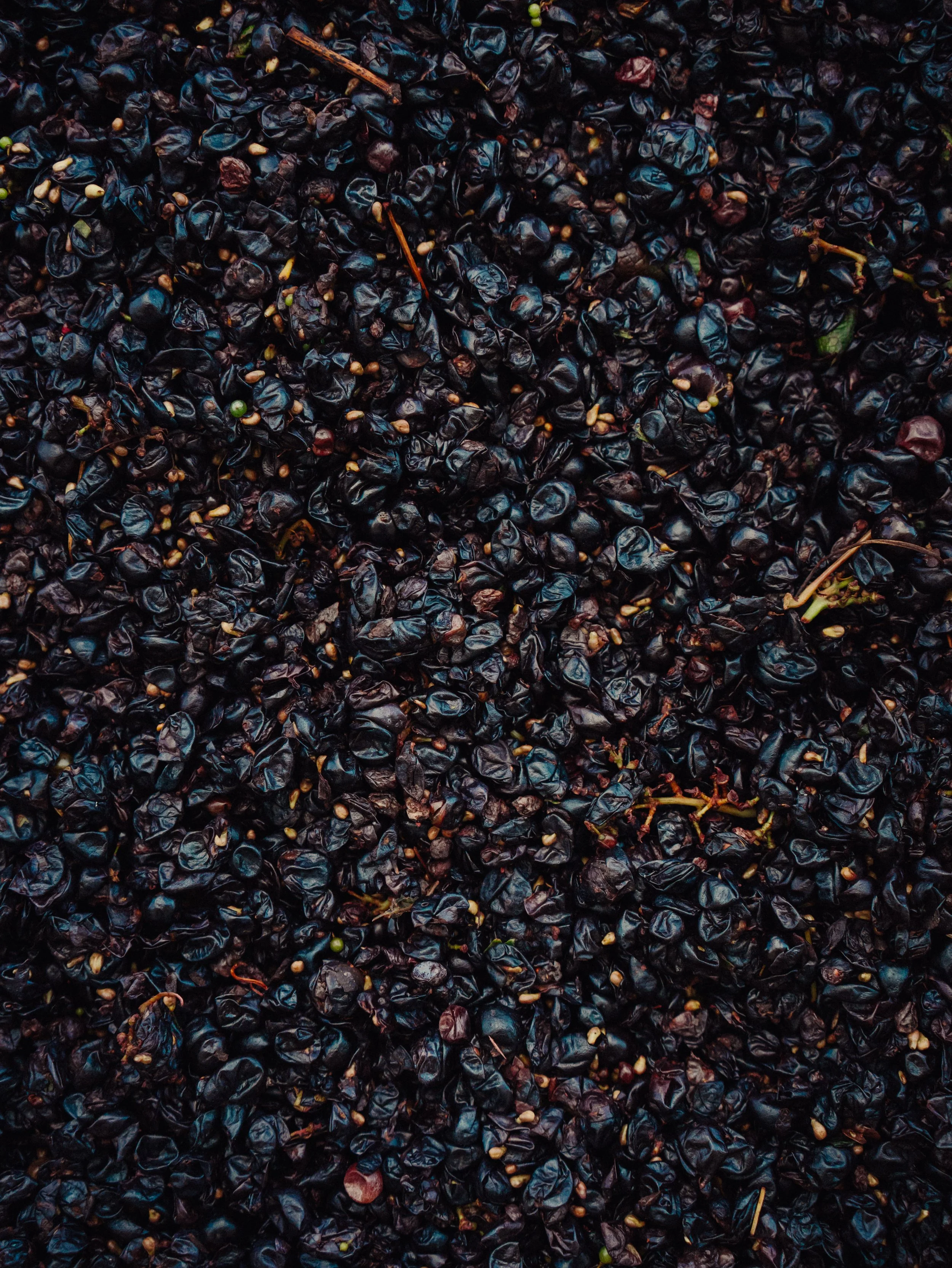 Gros plan de mûres noires fraîches avec quelques graines et morceaux de tiges.