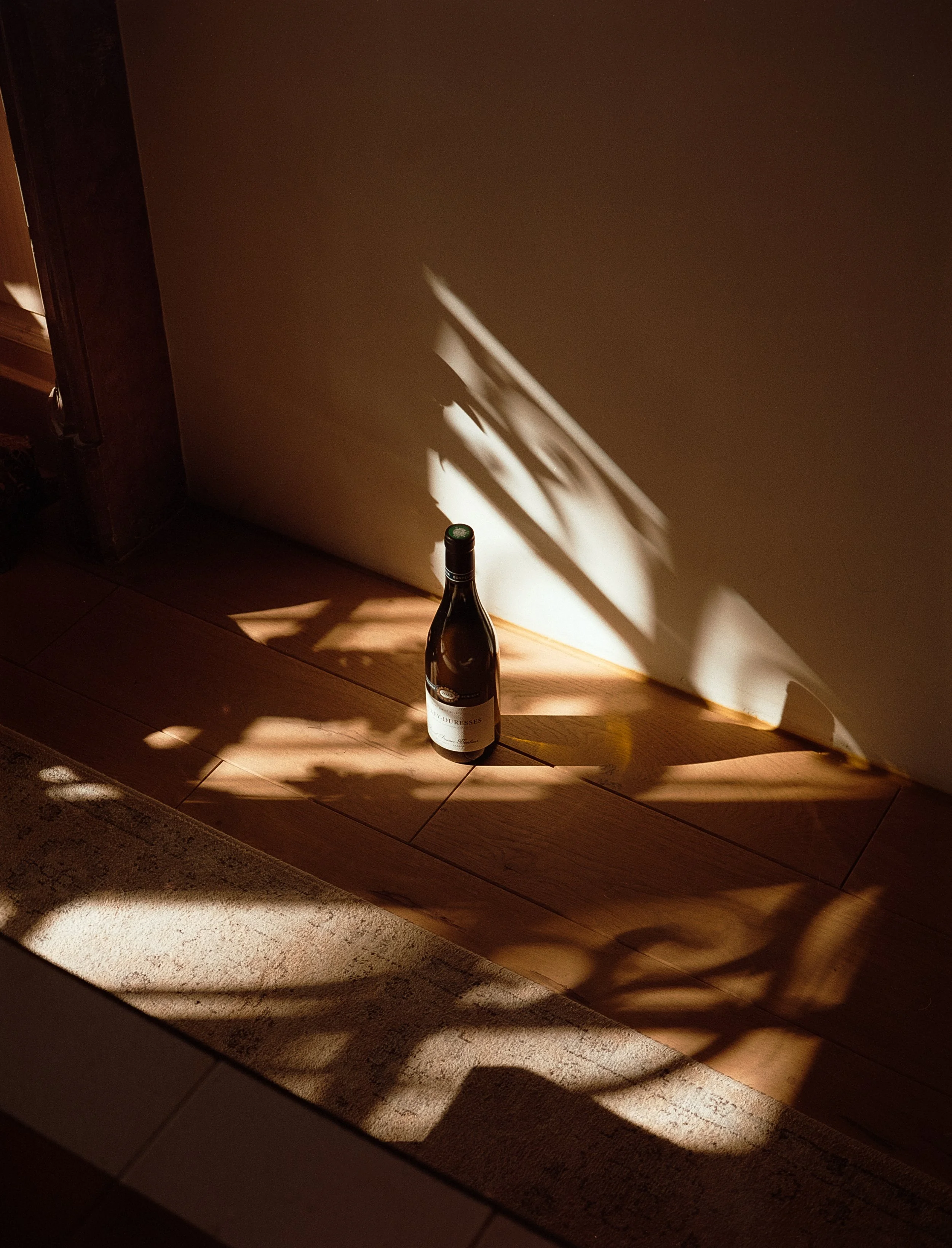 Une bouteille de vin posée sur un sol en bois, avec des ombres de plantes projetées sur le mur et le sol dans une lumière tamisée.