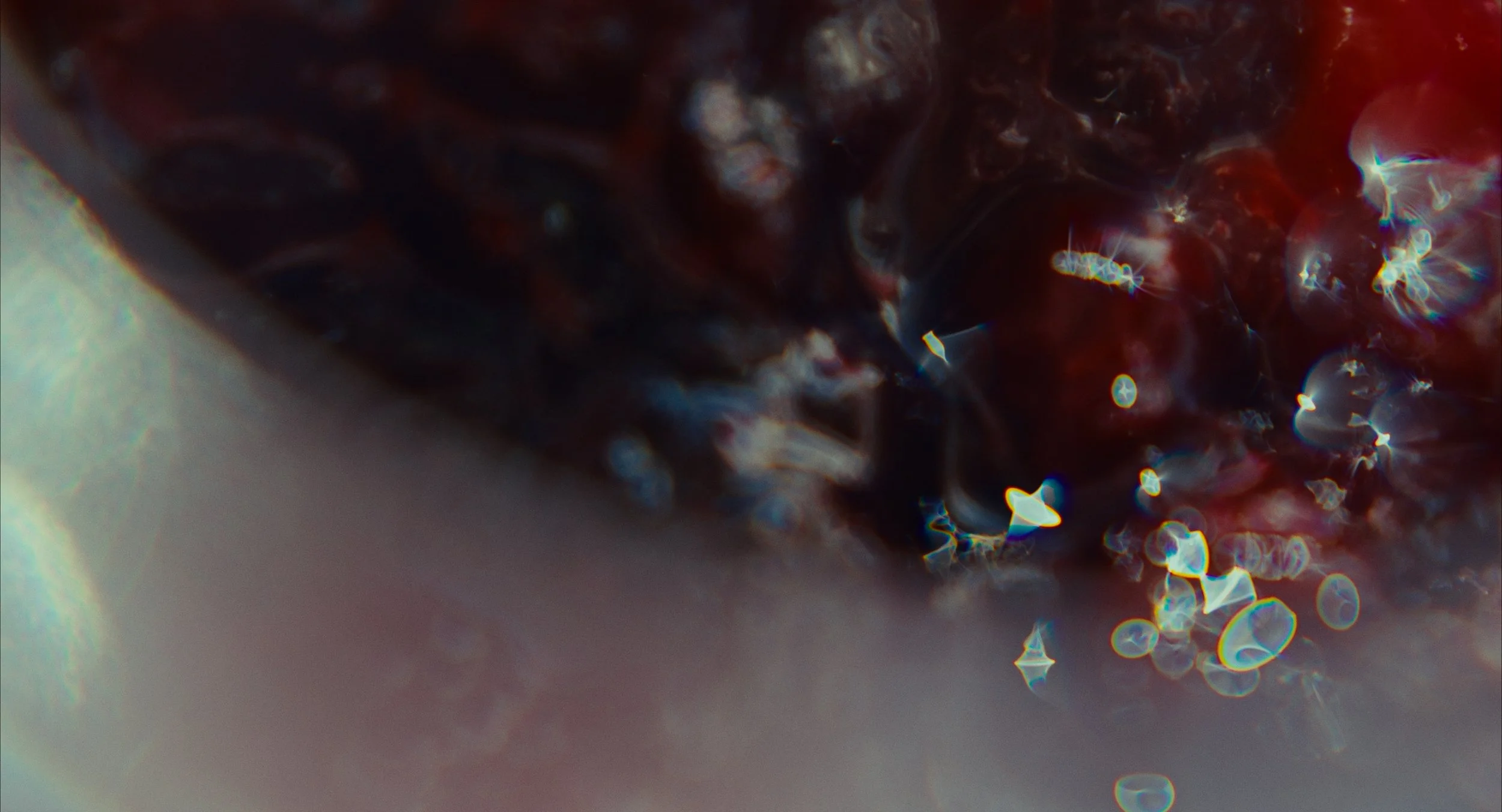 Capture macro d'une surface sombre et brillante avec des reflets lumineux colorés et des textures indéfinies.